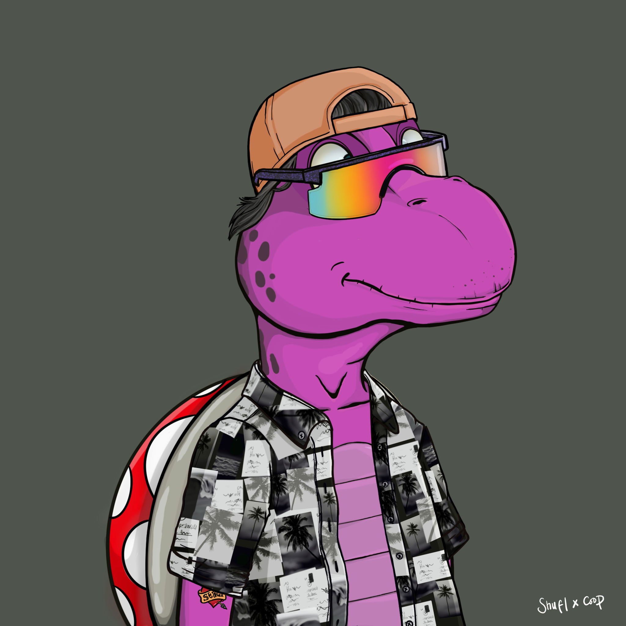 Coopa Troopa #1990 NFT on Algorand