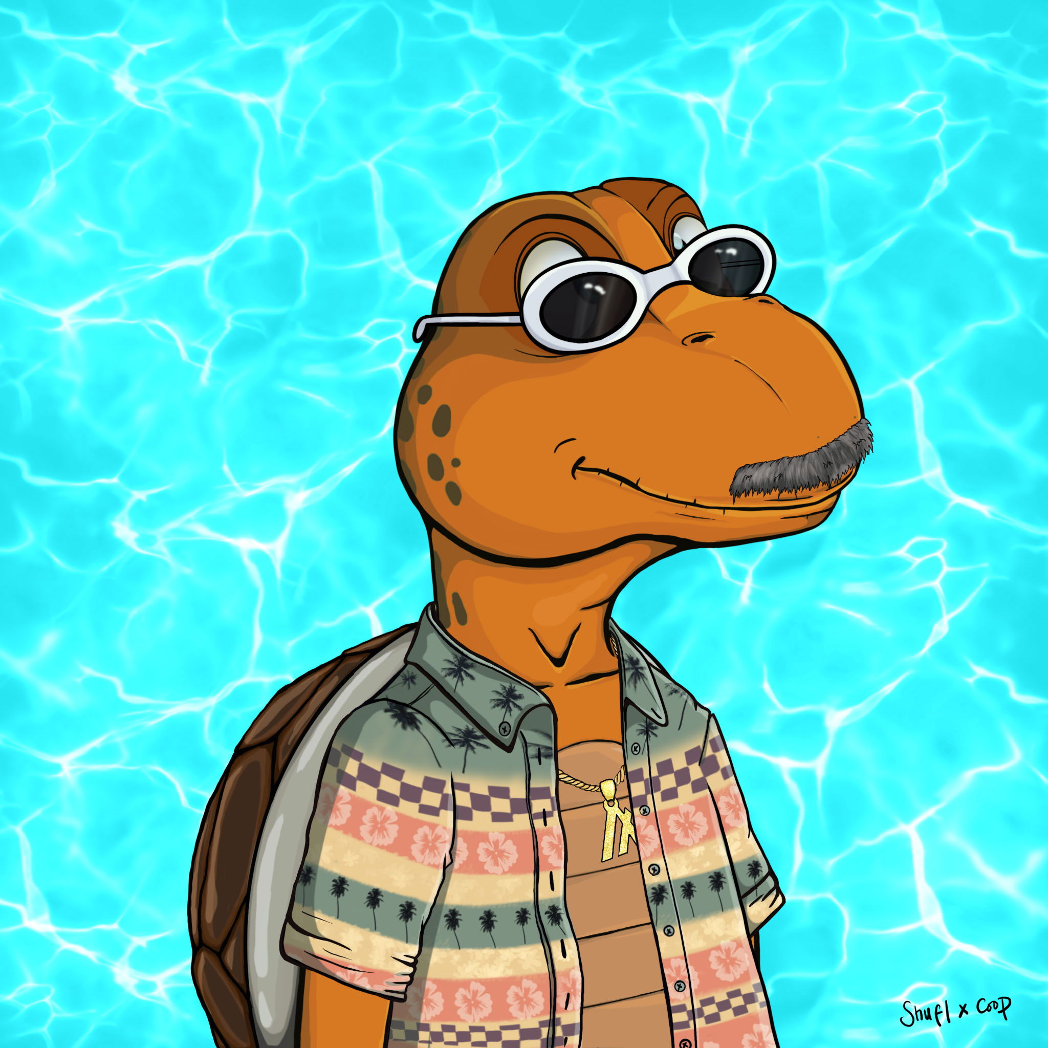 Coopa Troopa #1996 NFT on Algorand