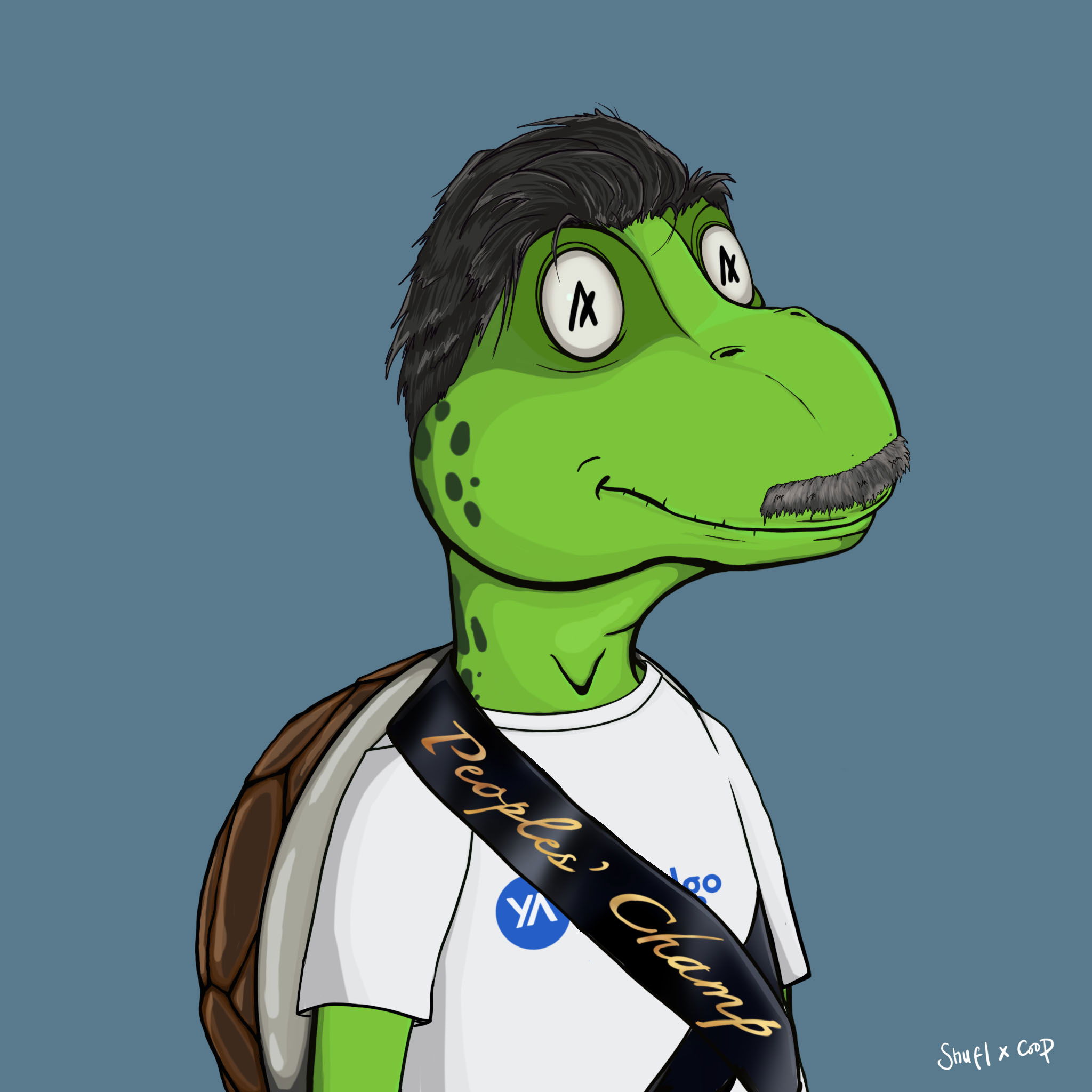 Coopa Troopa #2005 NFT on Algorand