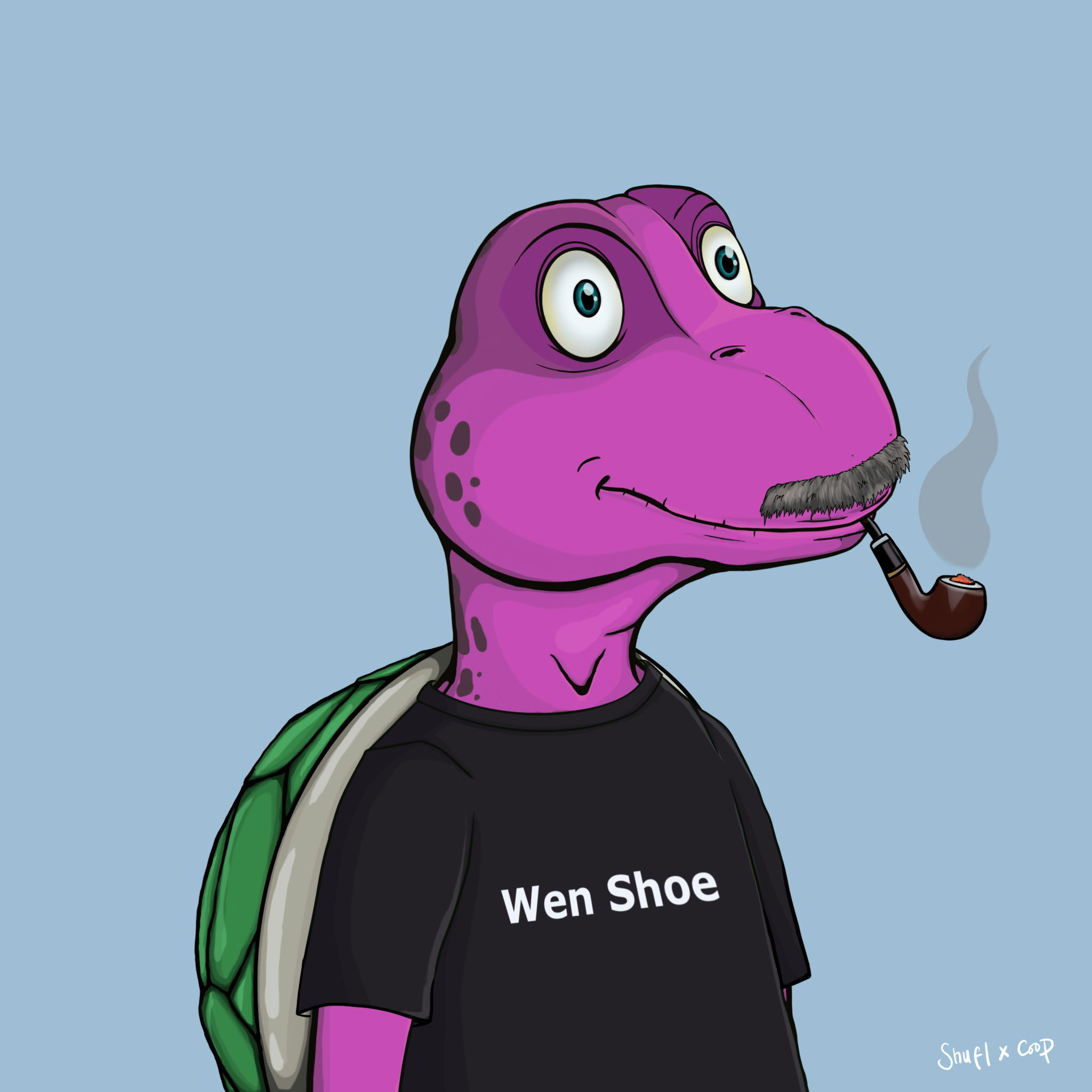 Coopa Troopa #2017 NFT on Algorand