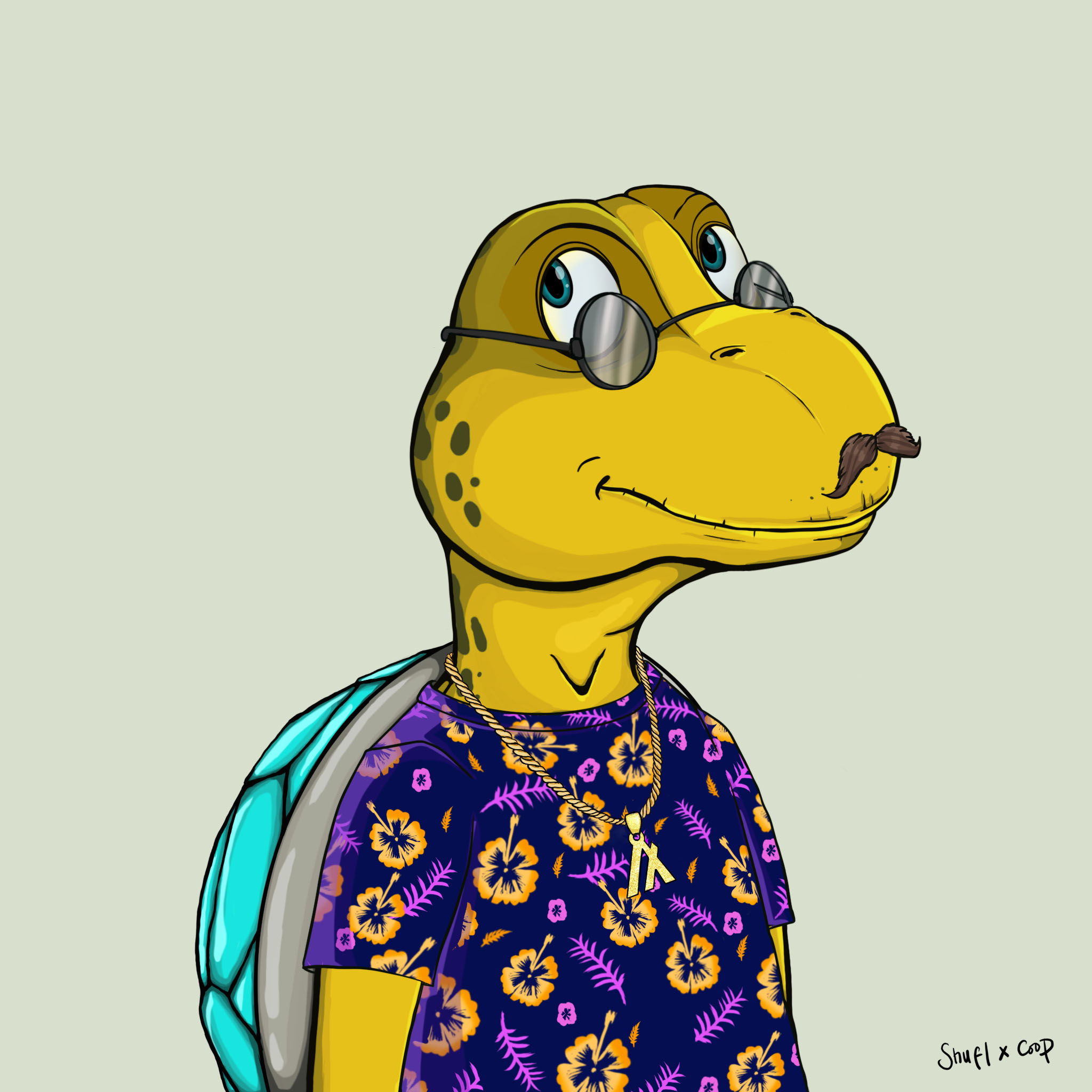 Coopa Troopa #2032 NFT on Algorand