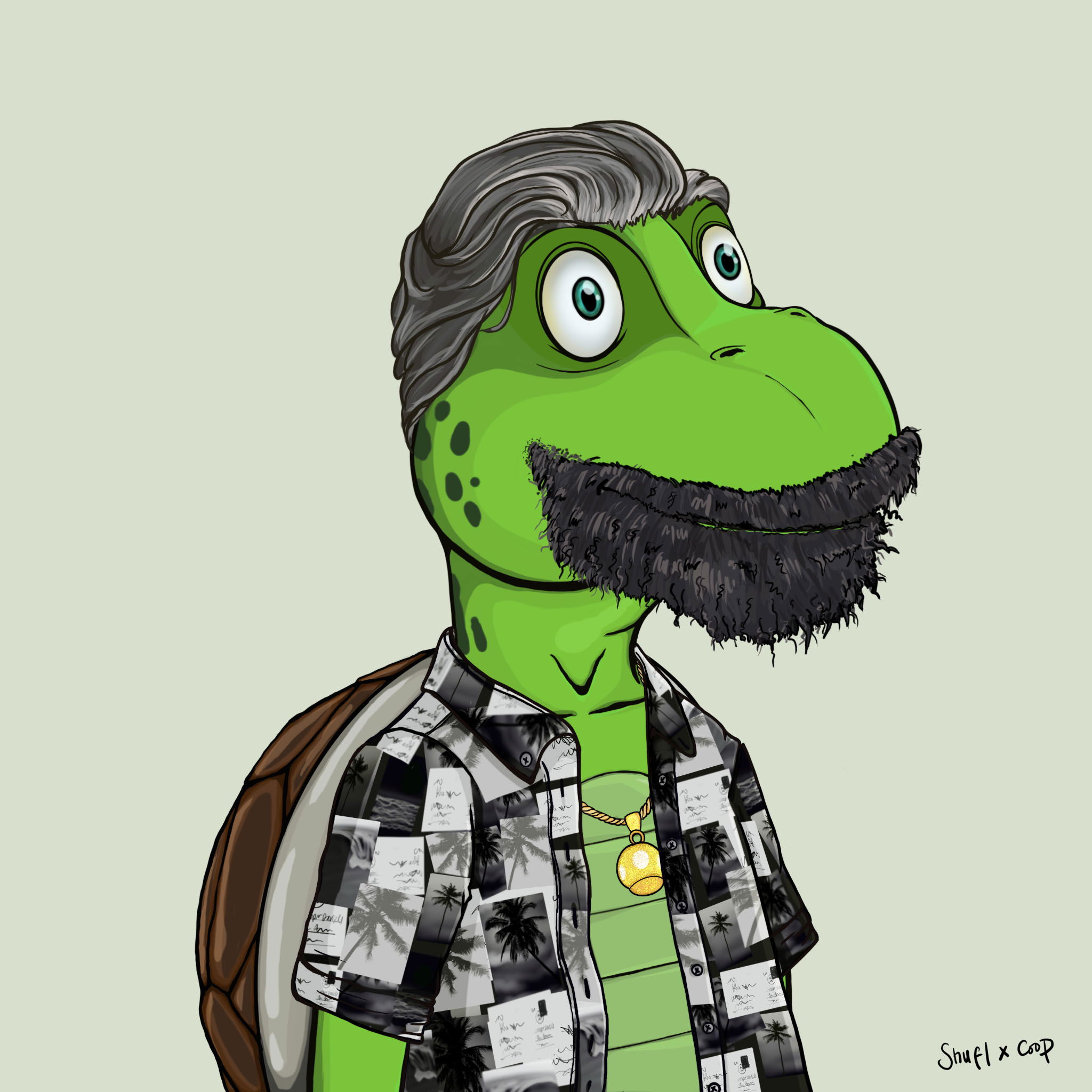 Coopa Troopa #2040 NFT on Algorand