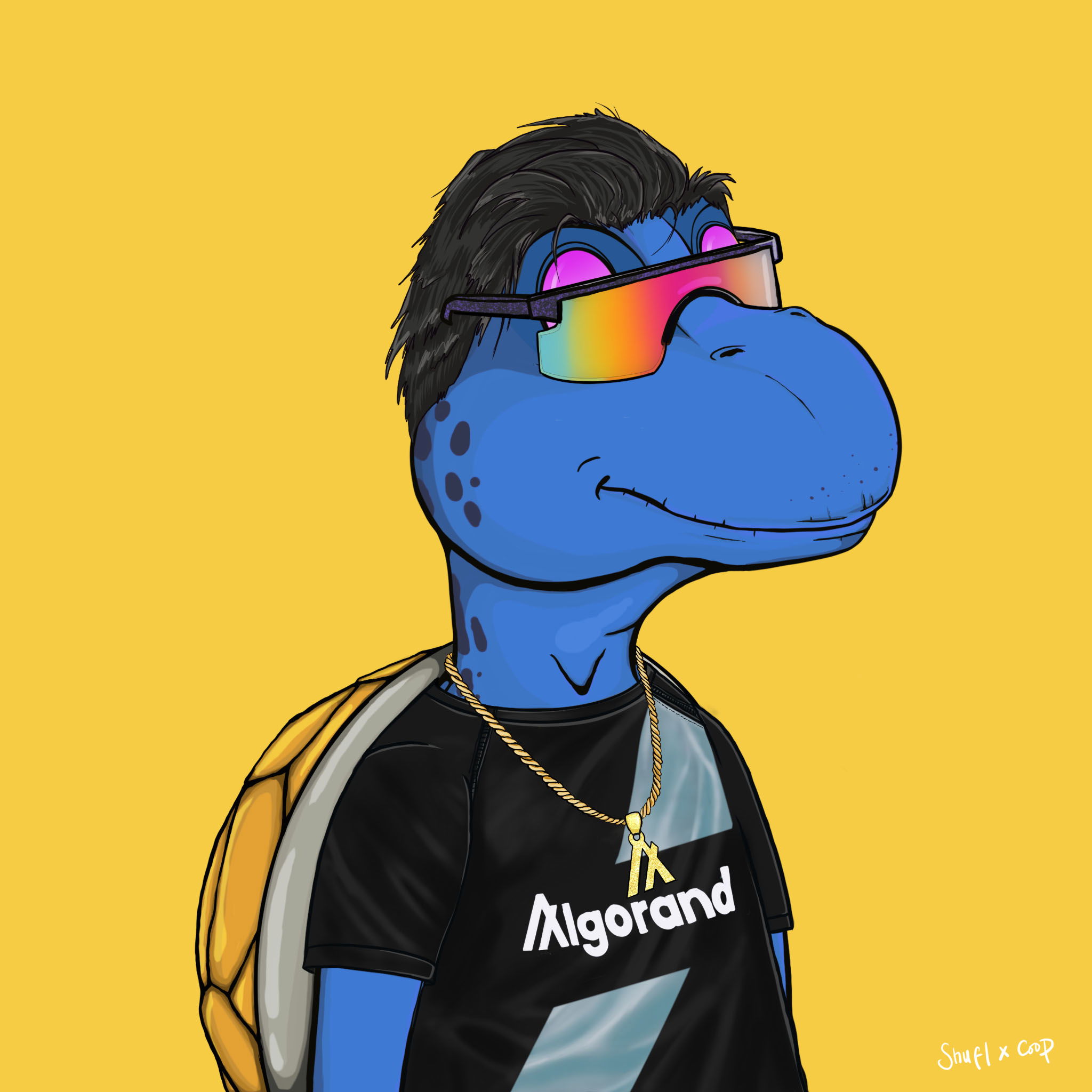 Coopa Troopa #2055 NFT on Algorand