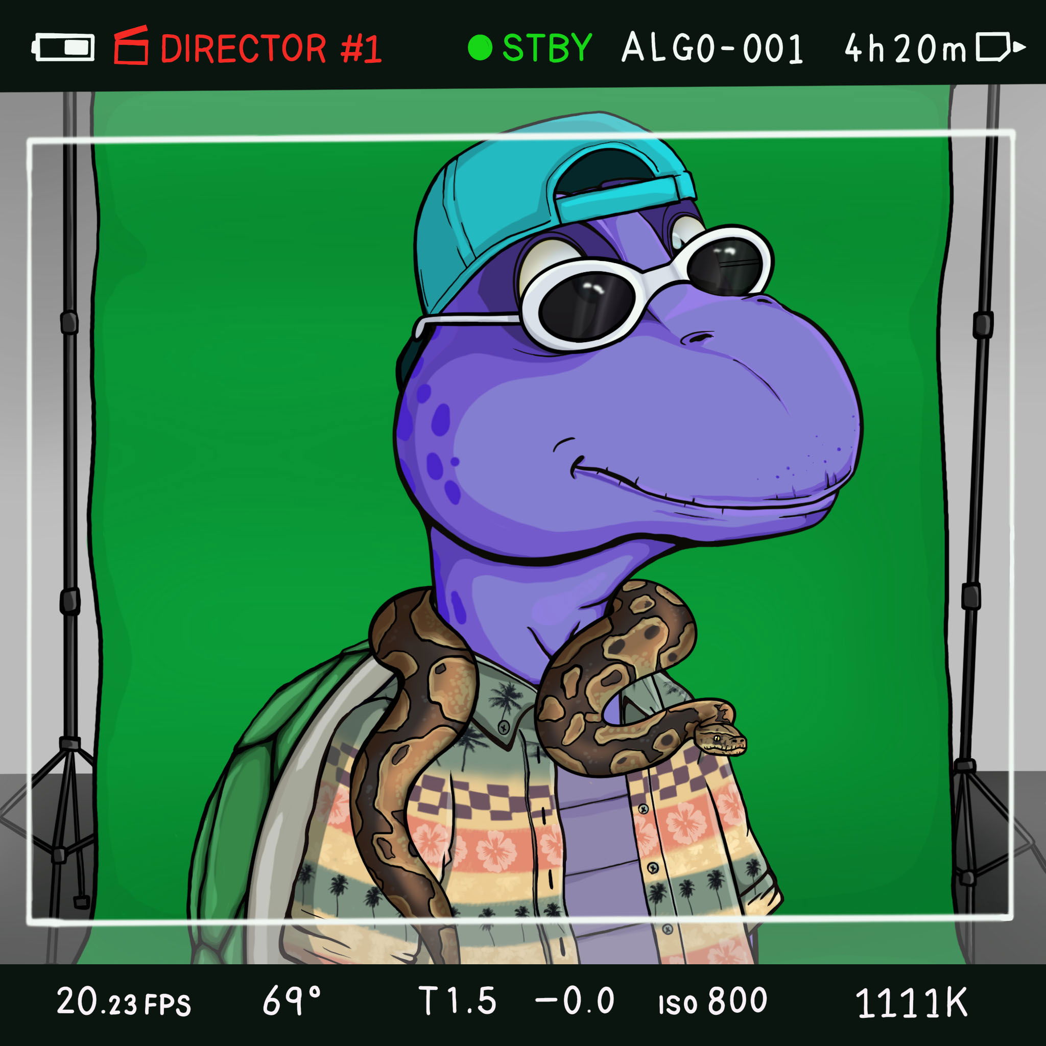 Coopa Troopa #2057 NFT on Algorand