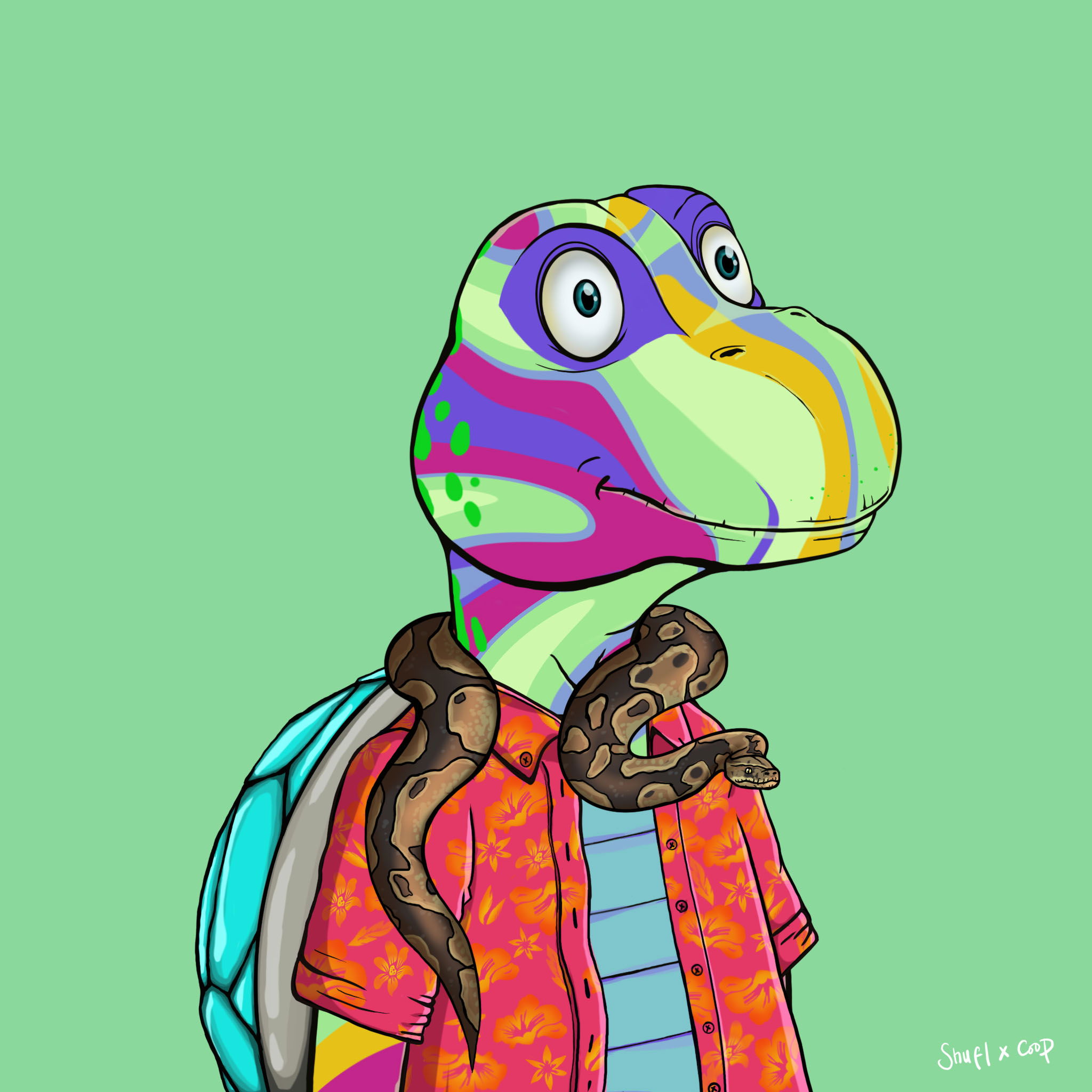 Coopa Troopa #2070 NFT on Algorand