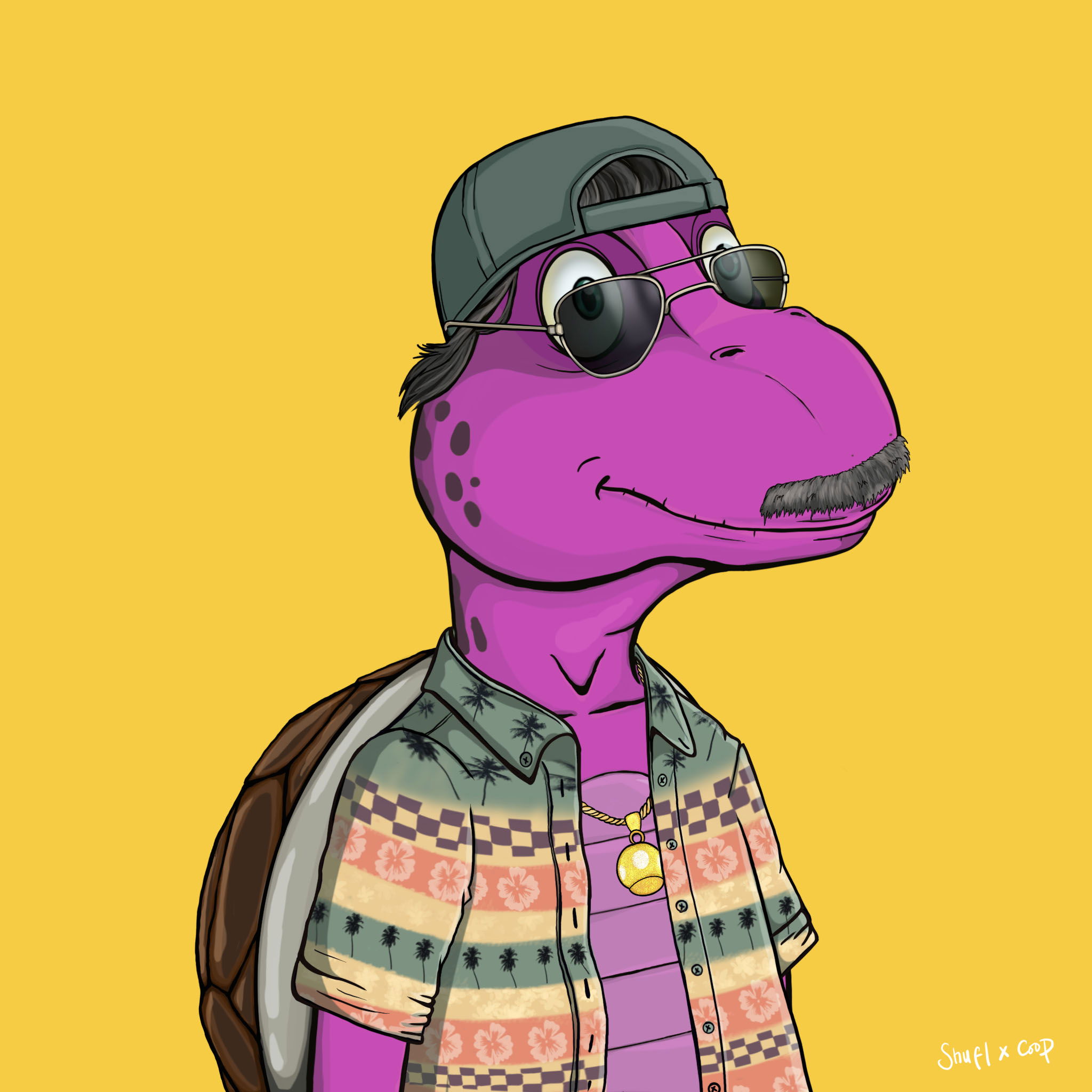 Coopa Troopa #2079 NFT on Algorand