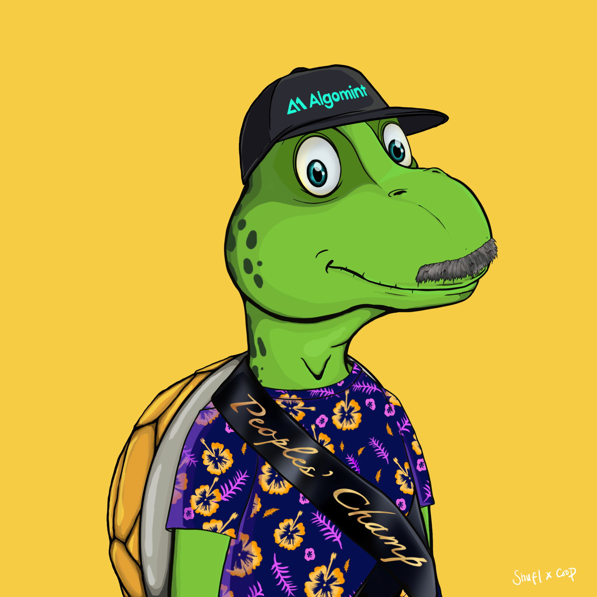 Coopa Troopa #2085 NFT on Algorand