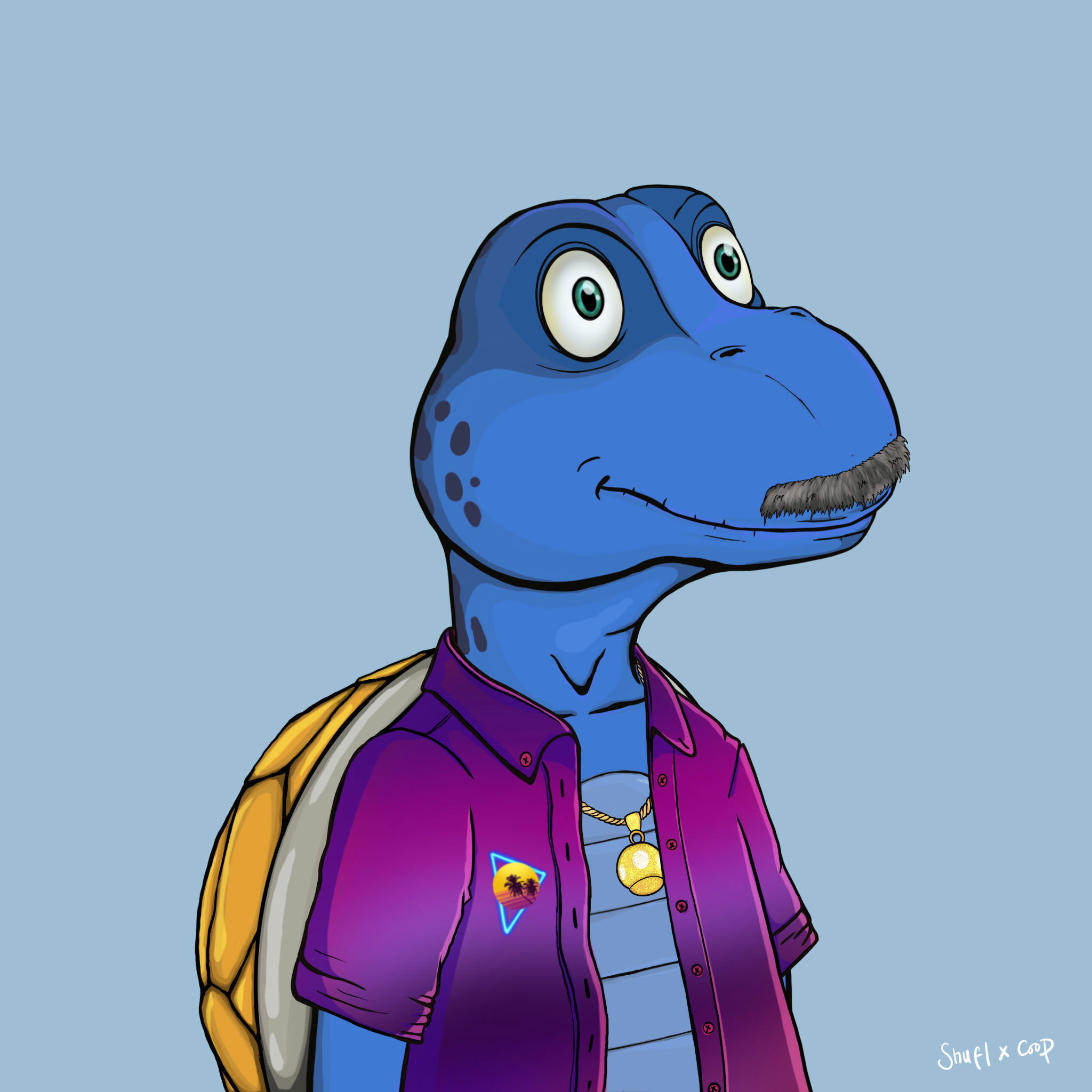 Coopa Troopa #2091 NFT on Algorand