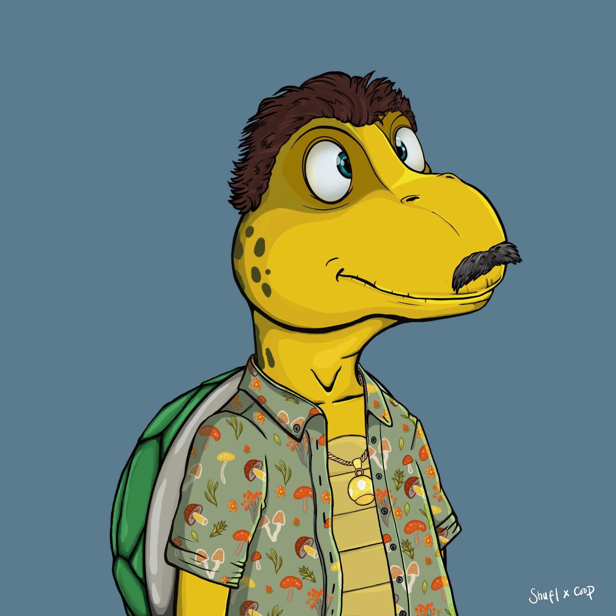 Coopa Troopa #2094 NFT on Algorand