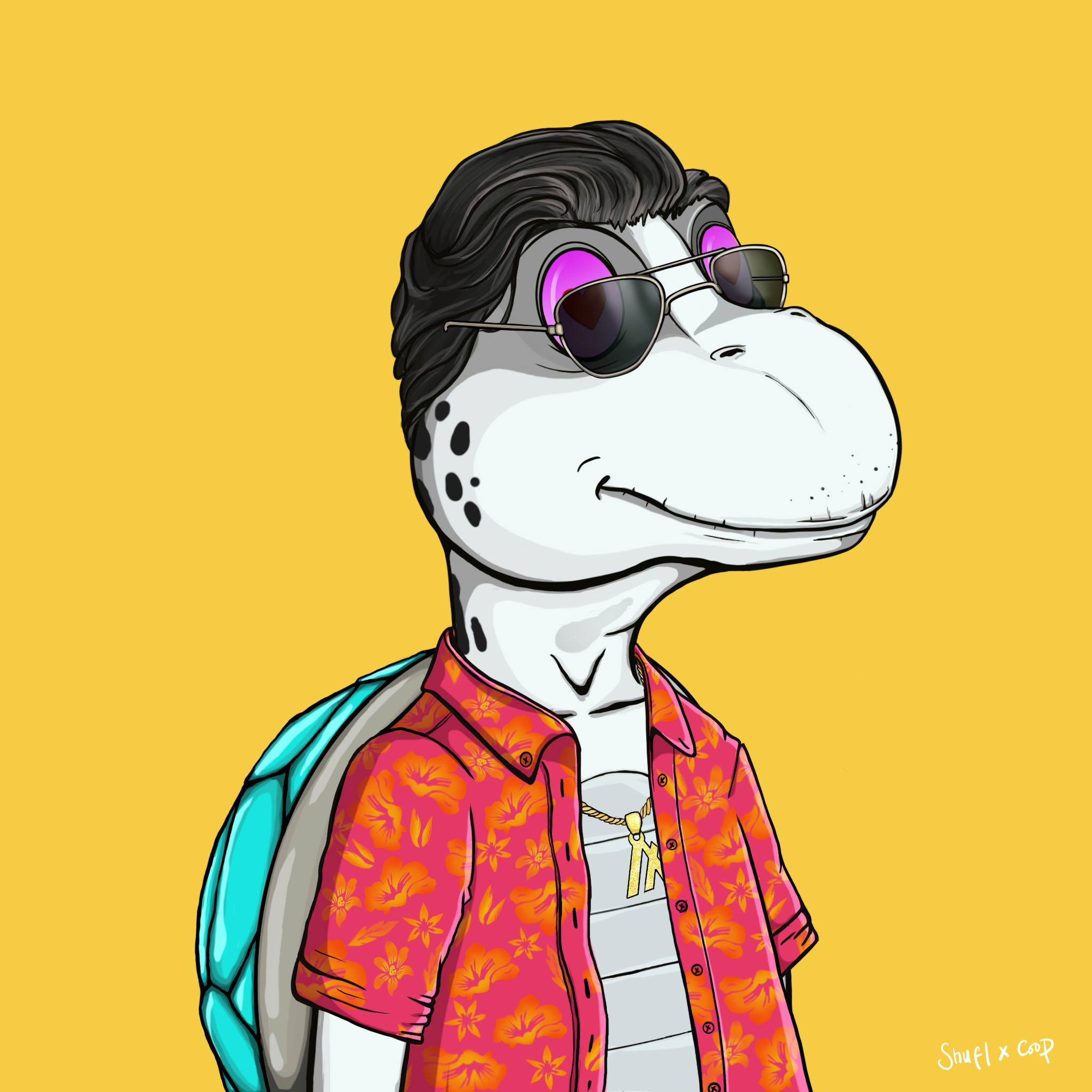 Coopa Troopa #2096 NFT on Algorand