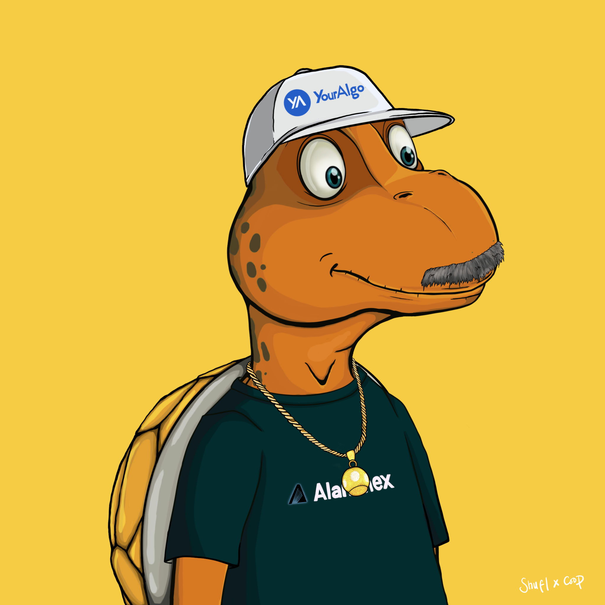 Coopa Troopa #21 NFT on Algorand