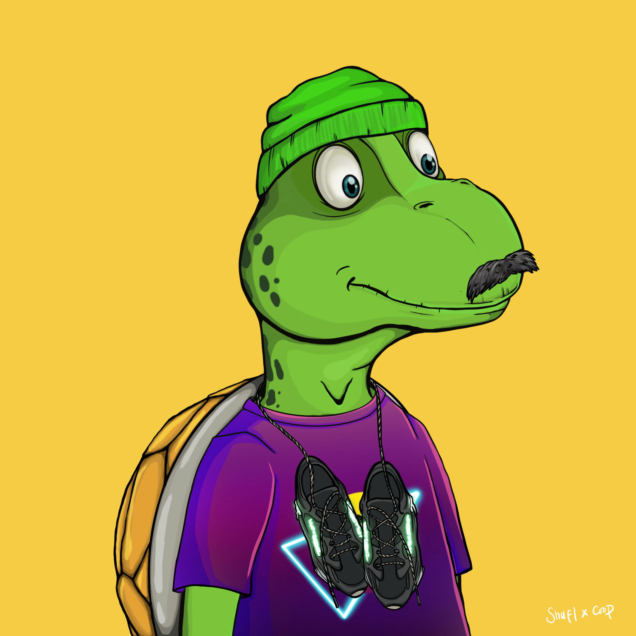 Coopa Troopa #2113 NFT on Algorand