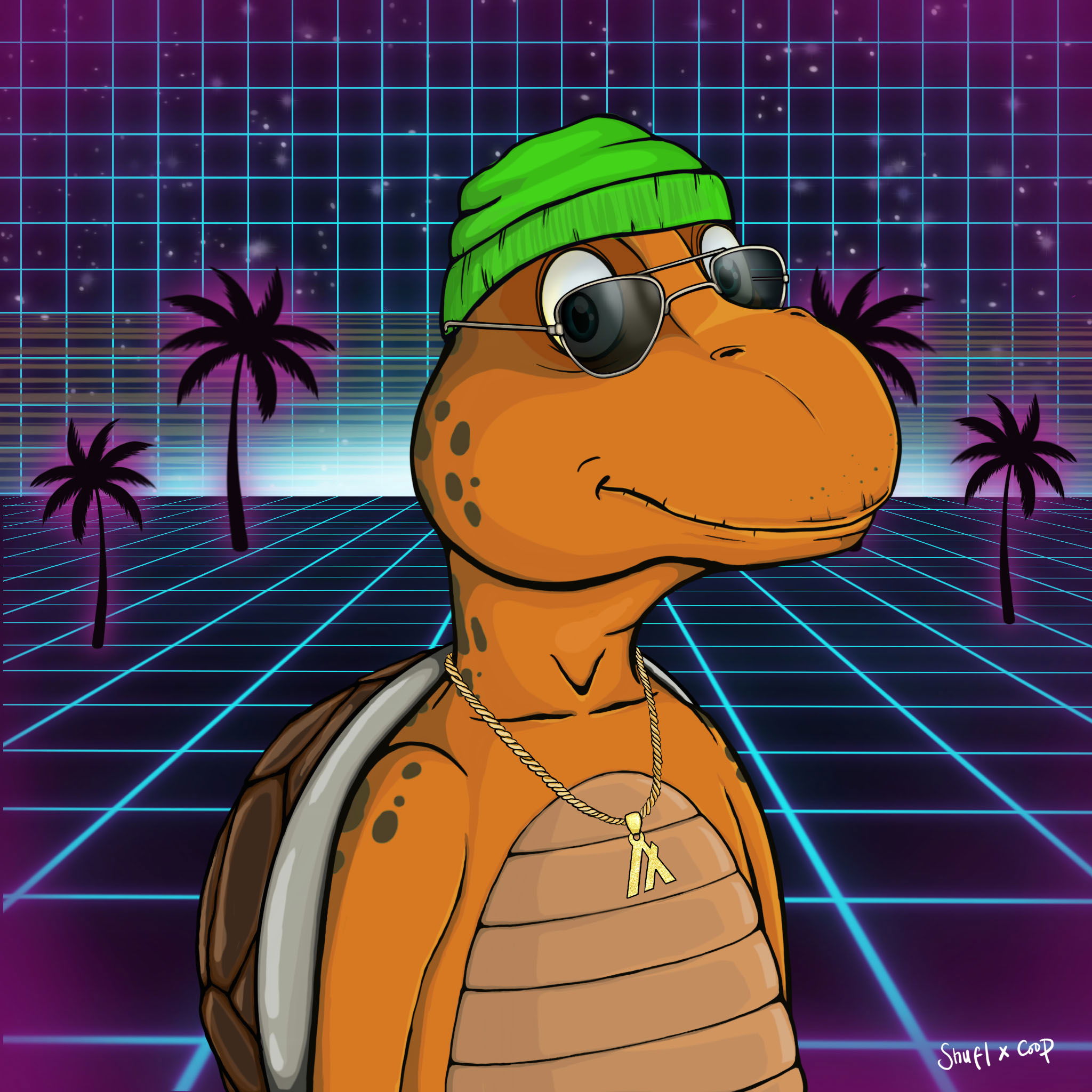 Coopa Troopa #2114 NFT on Algorand