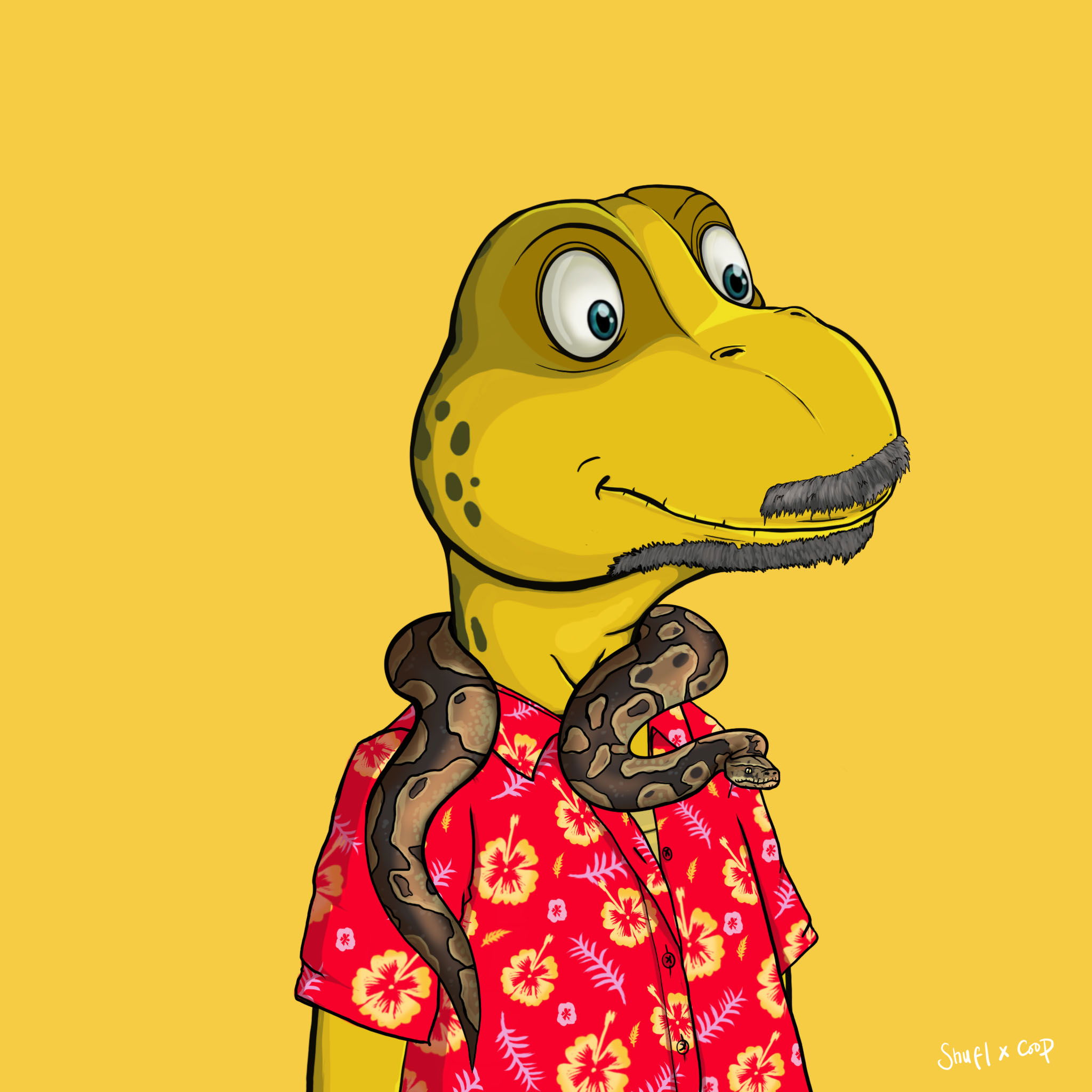 Coopa Troopa #2115 NFT on Algorand