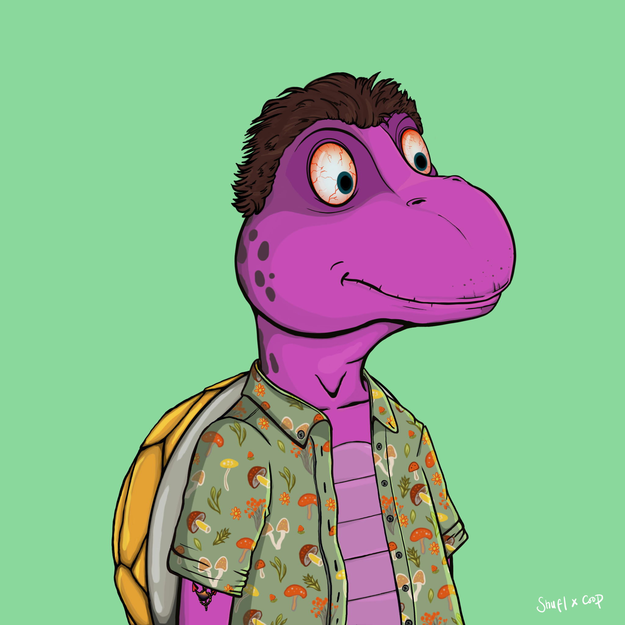 Coopa Troopa #2132 NFT on Algorand