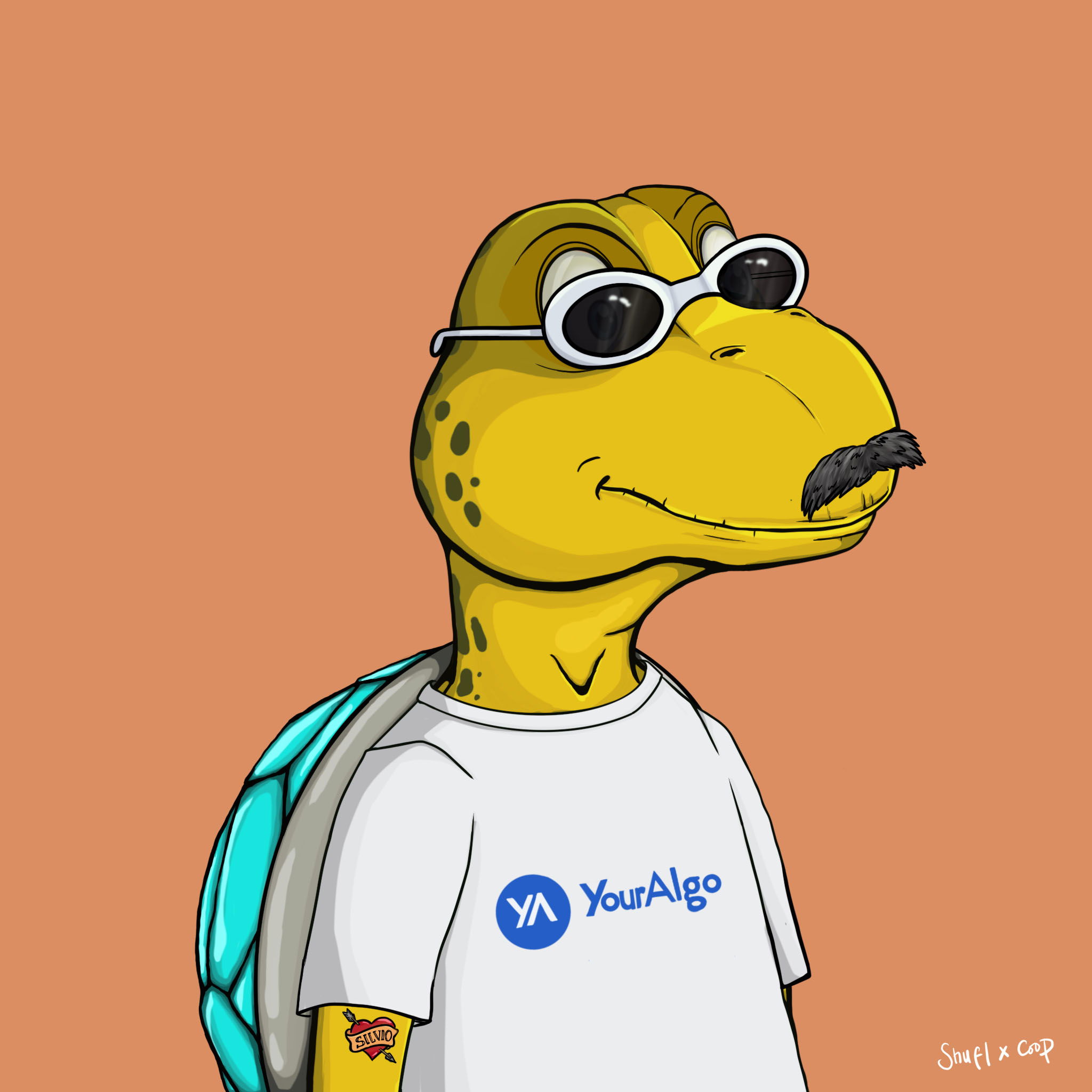 Coopa Troopa #2145 NFT on Algorand