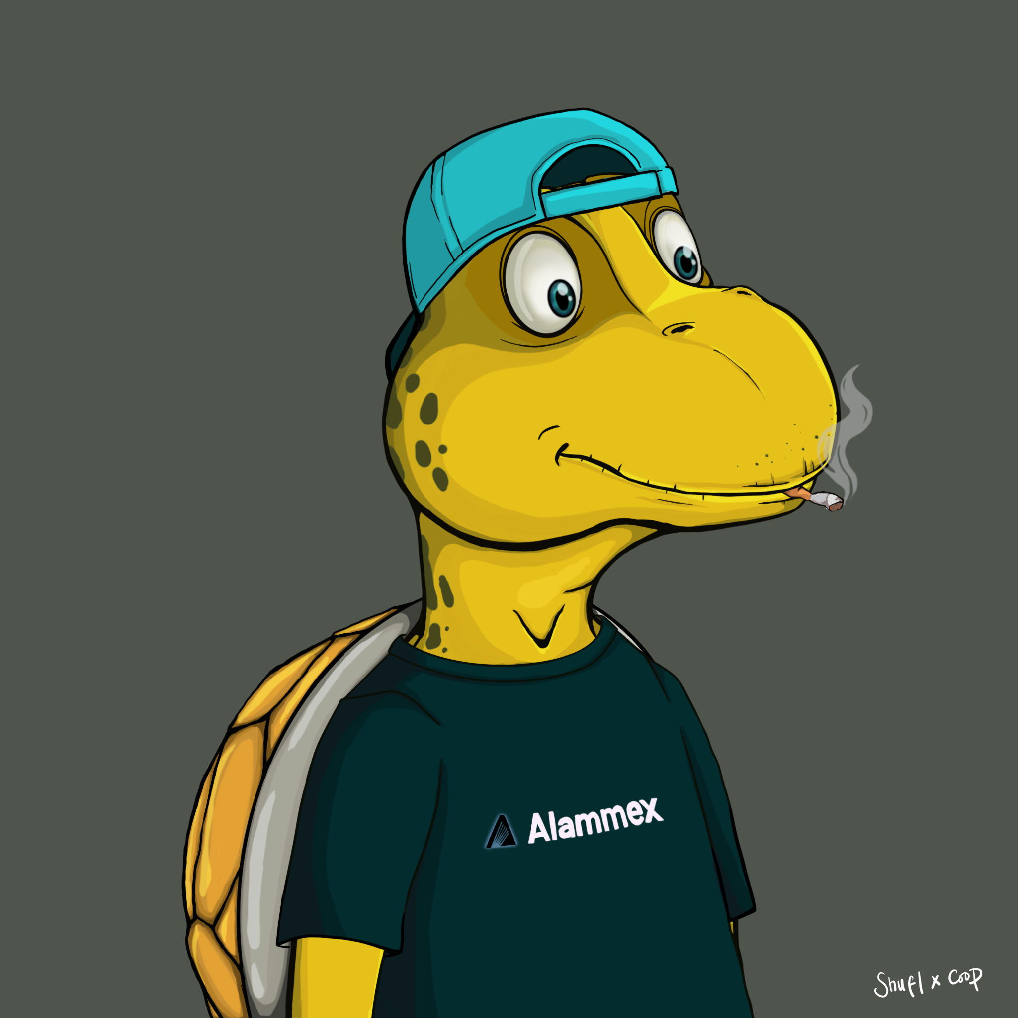 Coopa Troopa #2150 NFT on Algorand