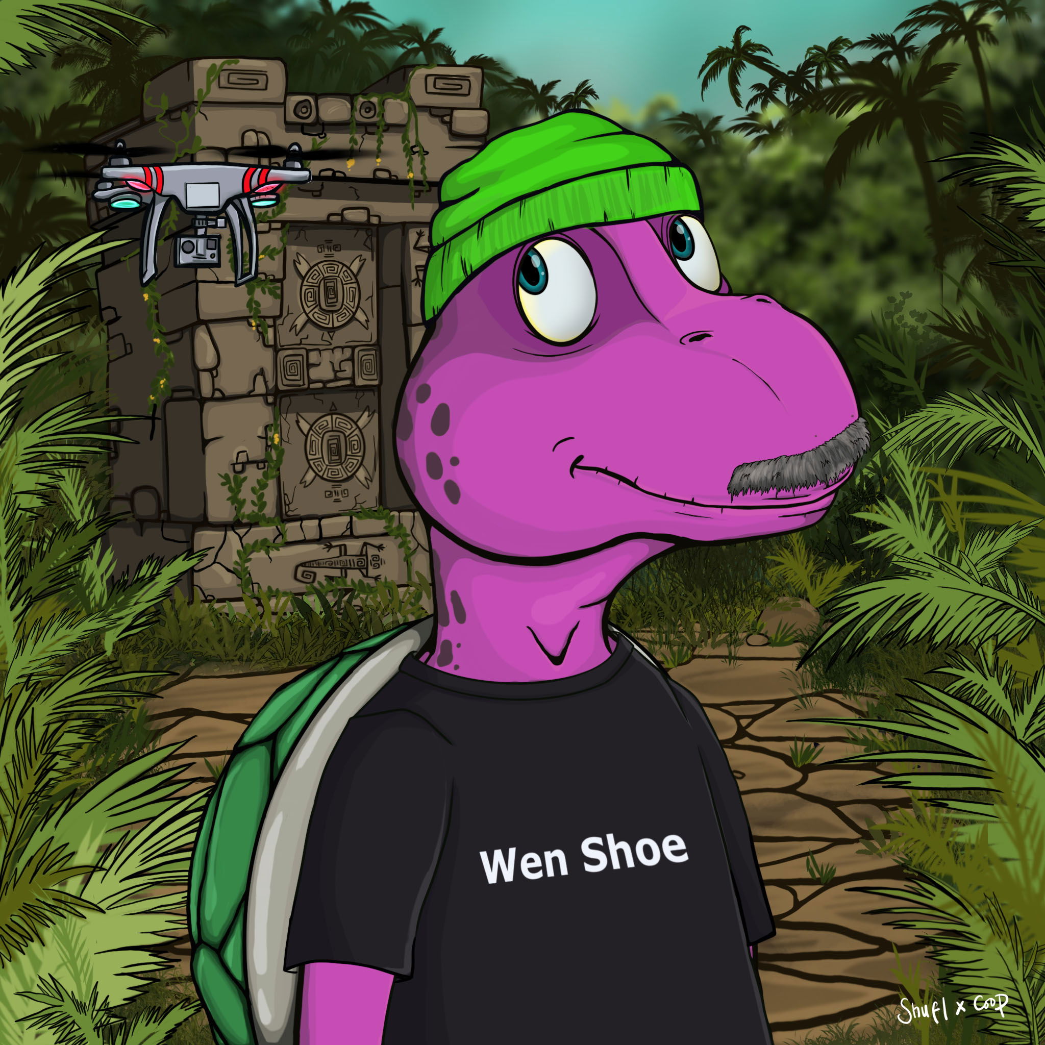 Coopa Troopa #2153 NFT on Algorand