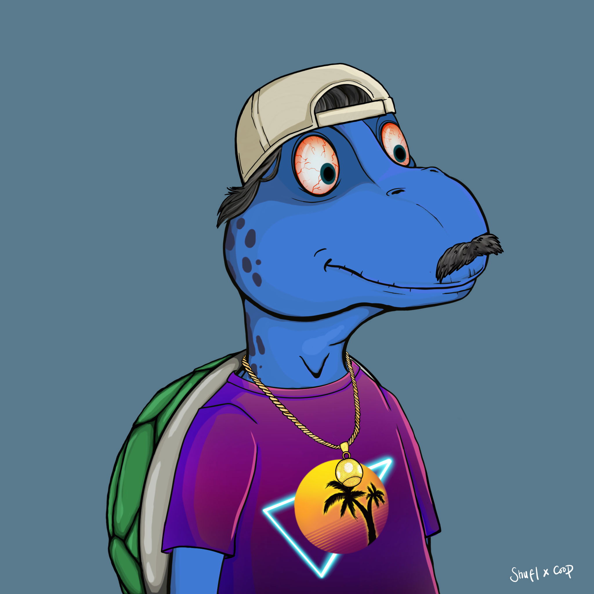 Coopa Troopa #2164 NFT on Algorand