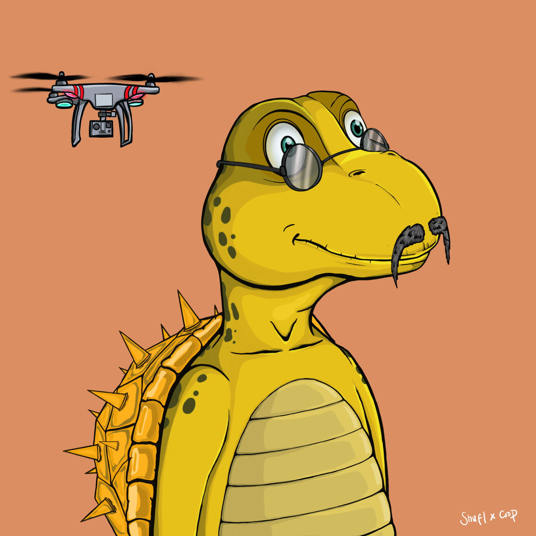 Coopa Troopa #2165 NFT on Algorand