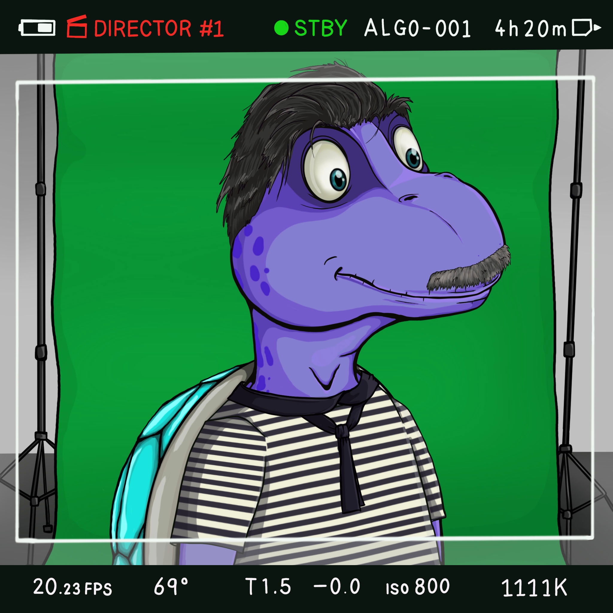 Coopa Troopa #2178 NFT on Algorand