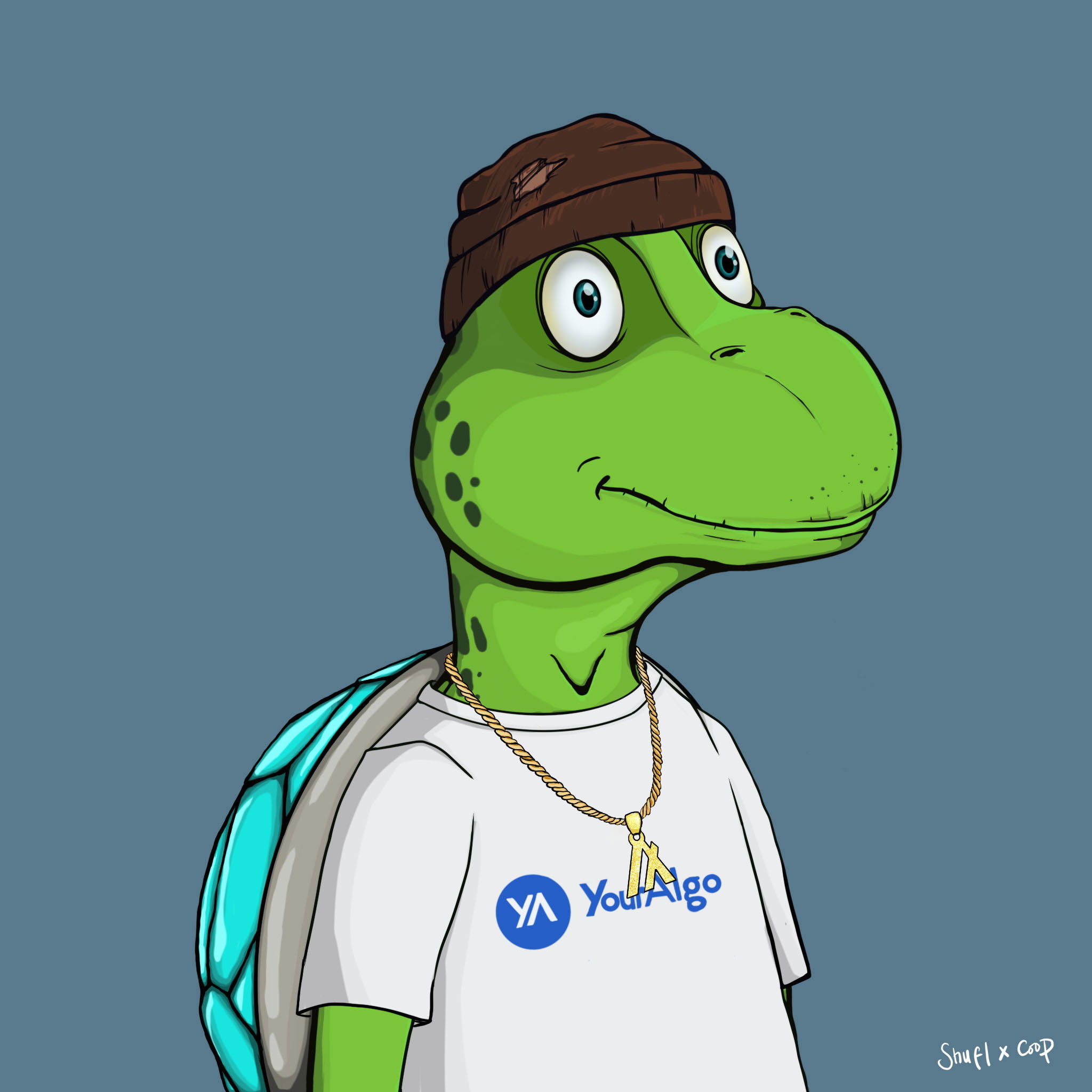 Coopa Troopa #2179 NFT on Algorand