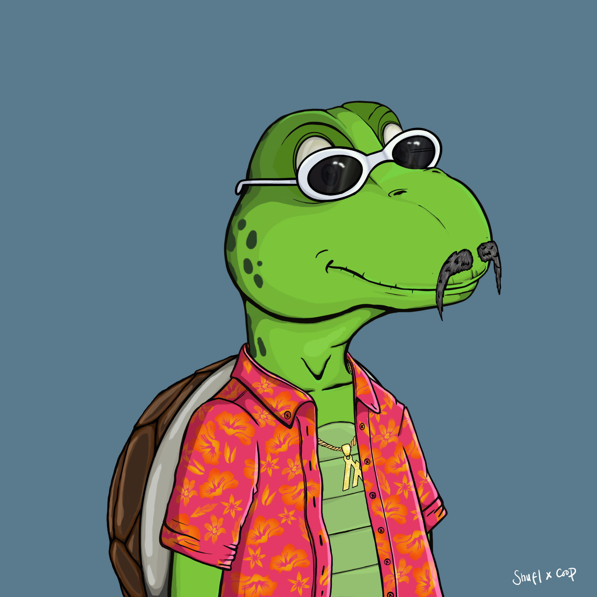 Coopa Troopa #2187 NFT on Algorand