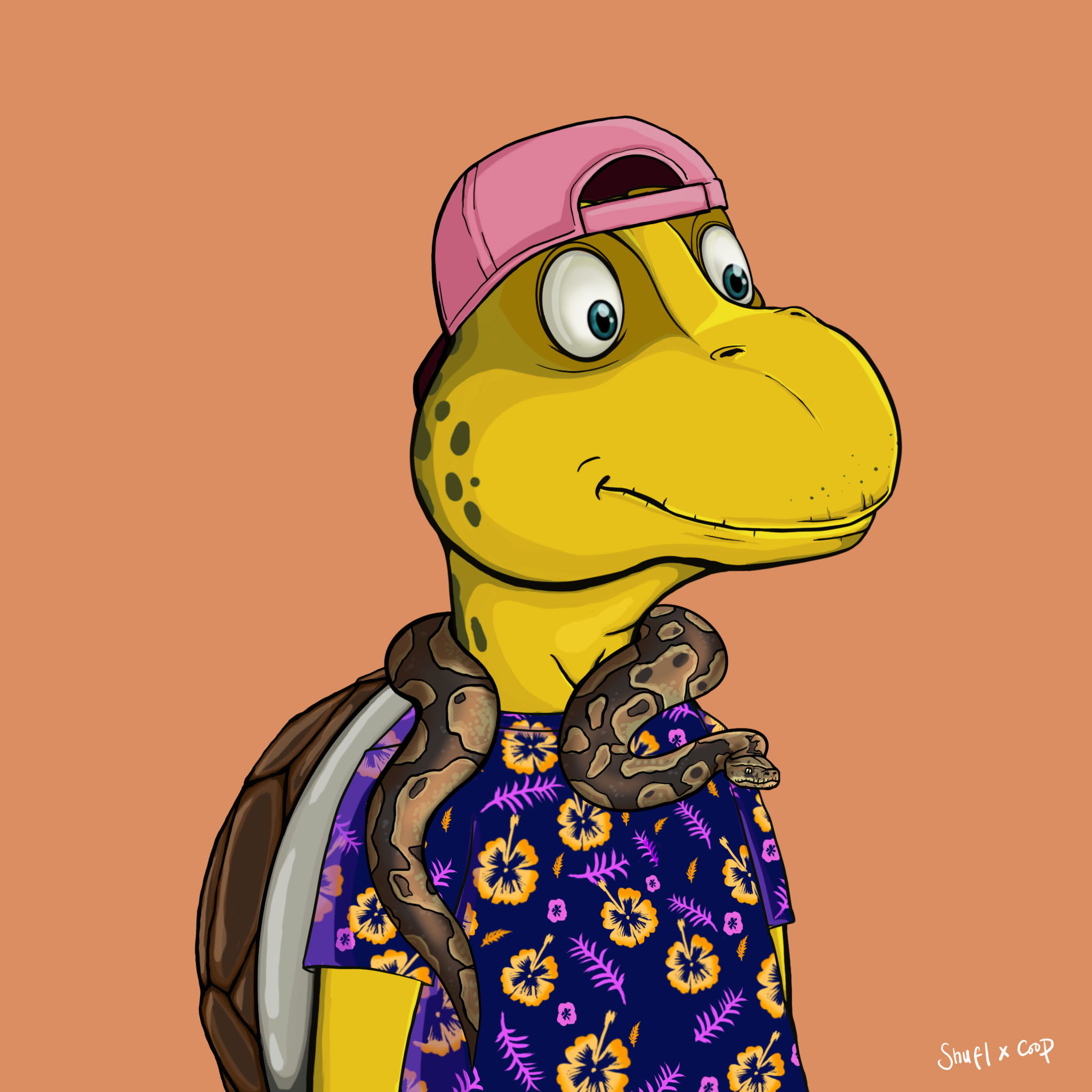 Coopa Troopa #2208 NFT on Algorand