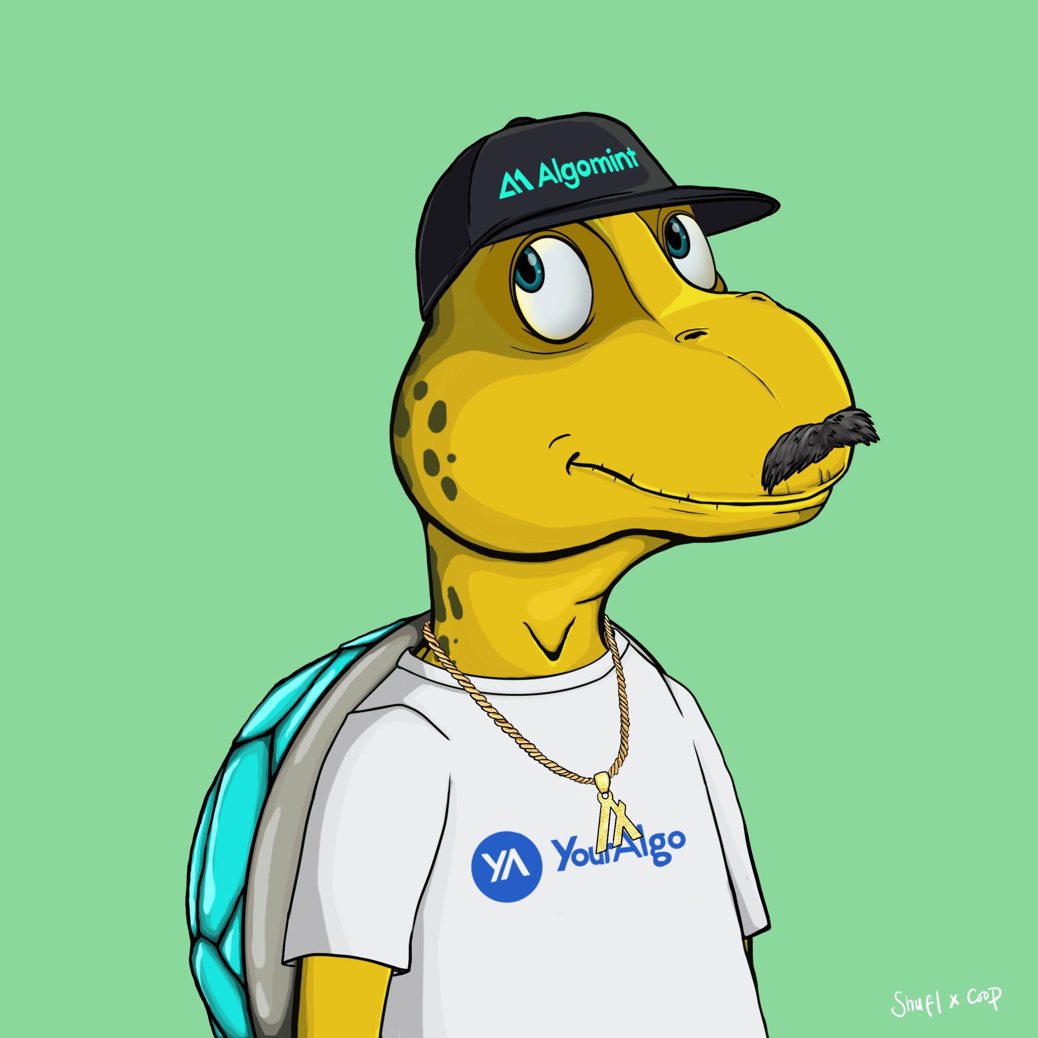 Coopa Troopa #2209 NFT on Algorand