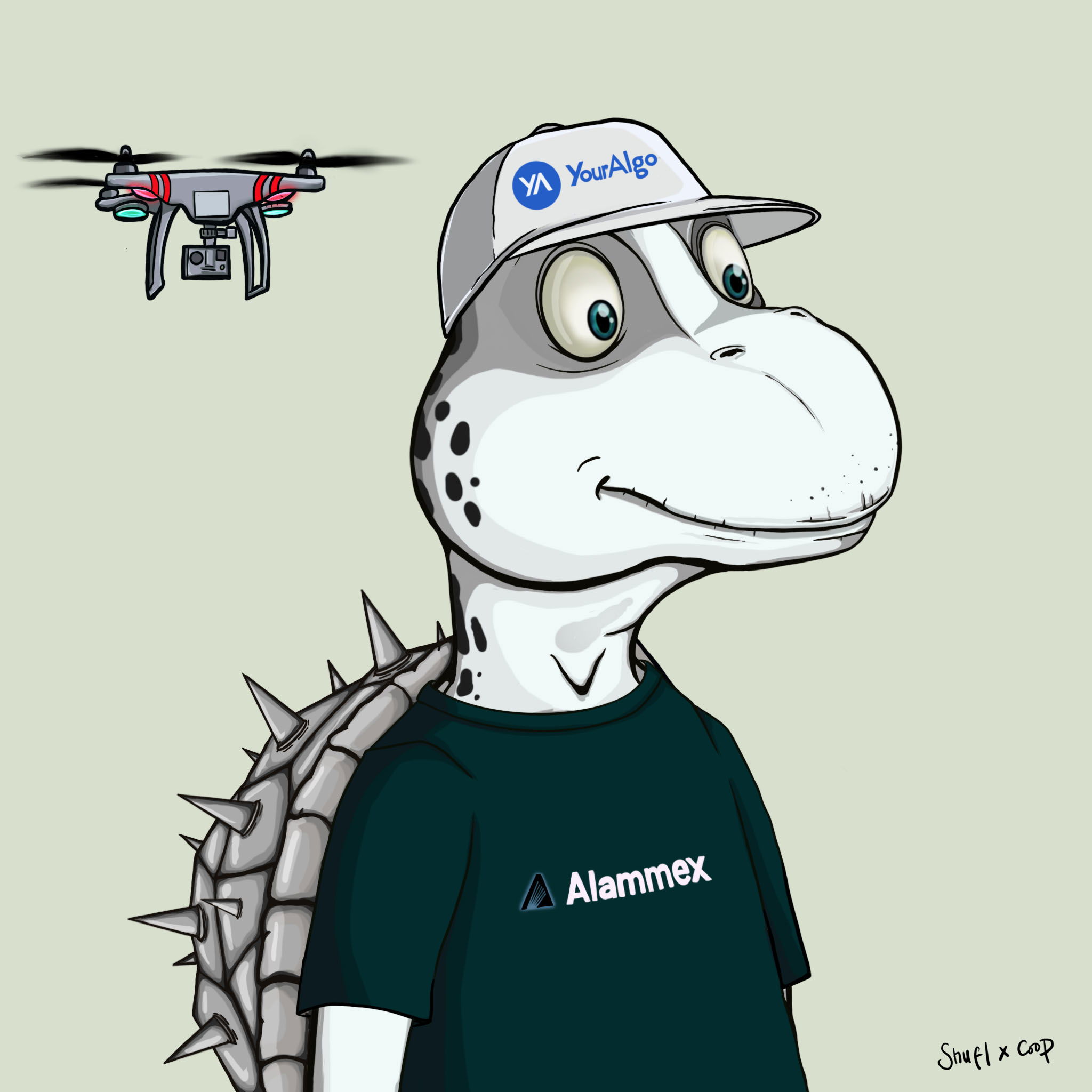 Coopa Troopa #2210 NFT on Algorand