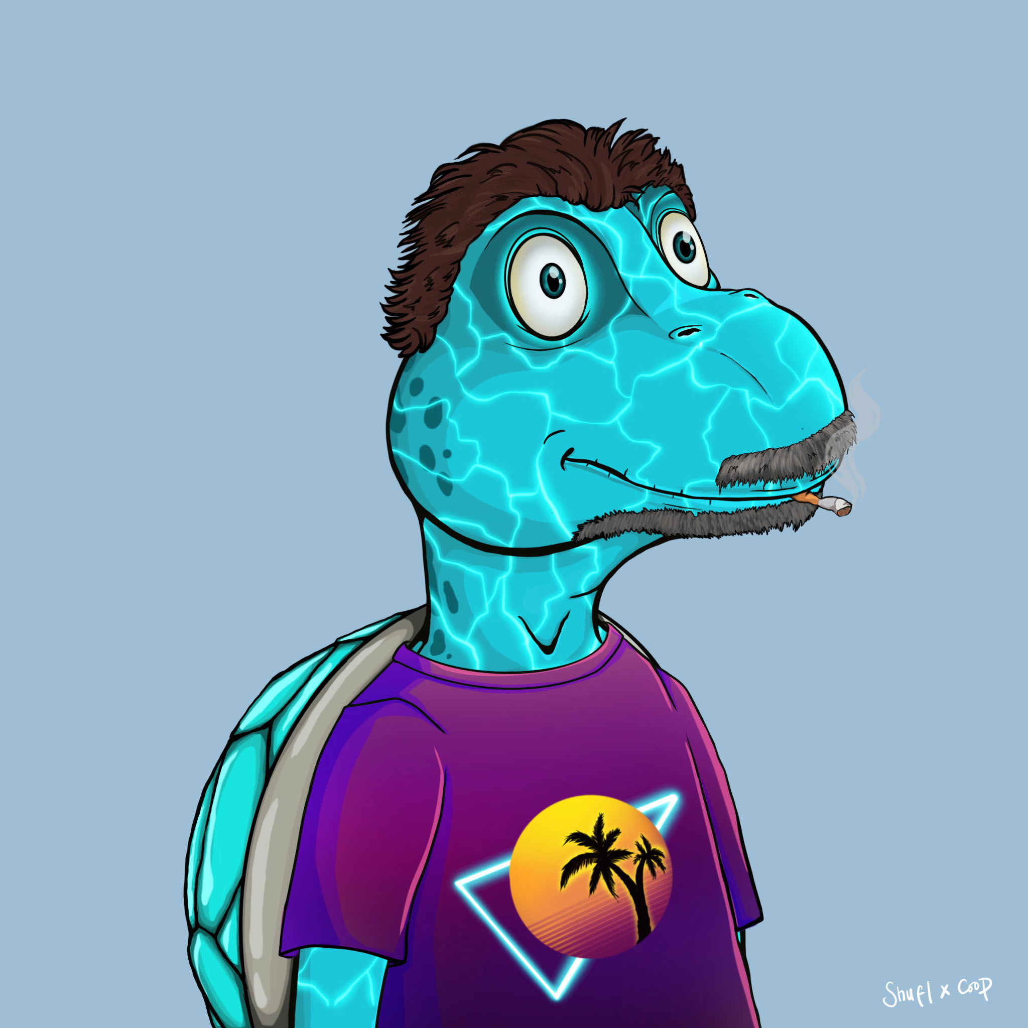 Coopa Troopa #2212 NFT on Algorand