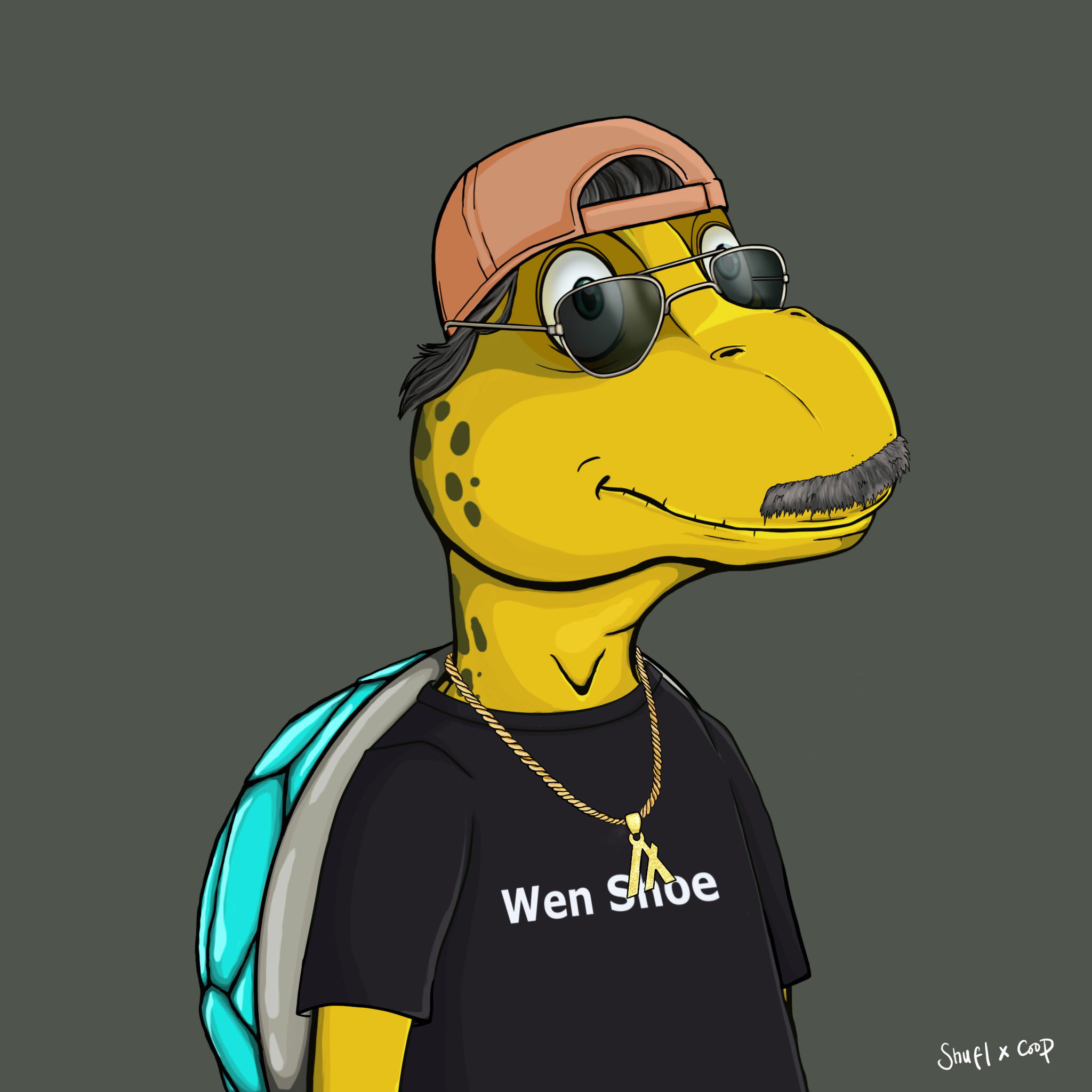 Coopa Troopa #2214 NFT on Algorand