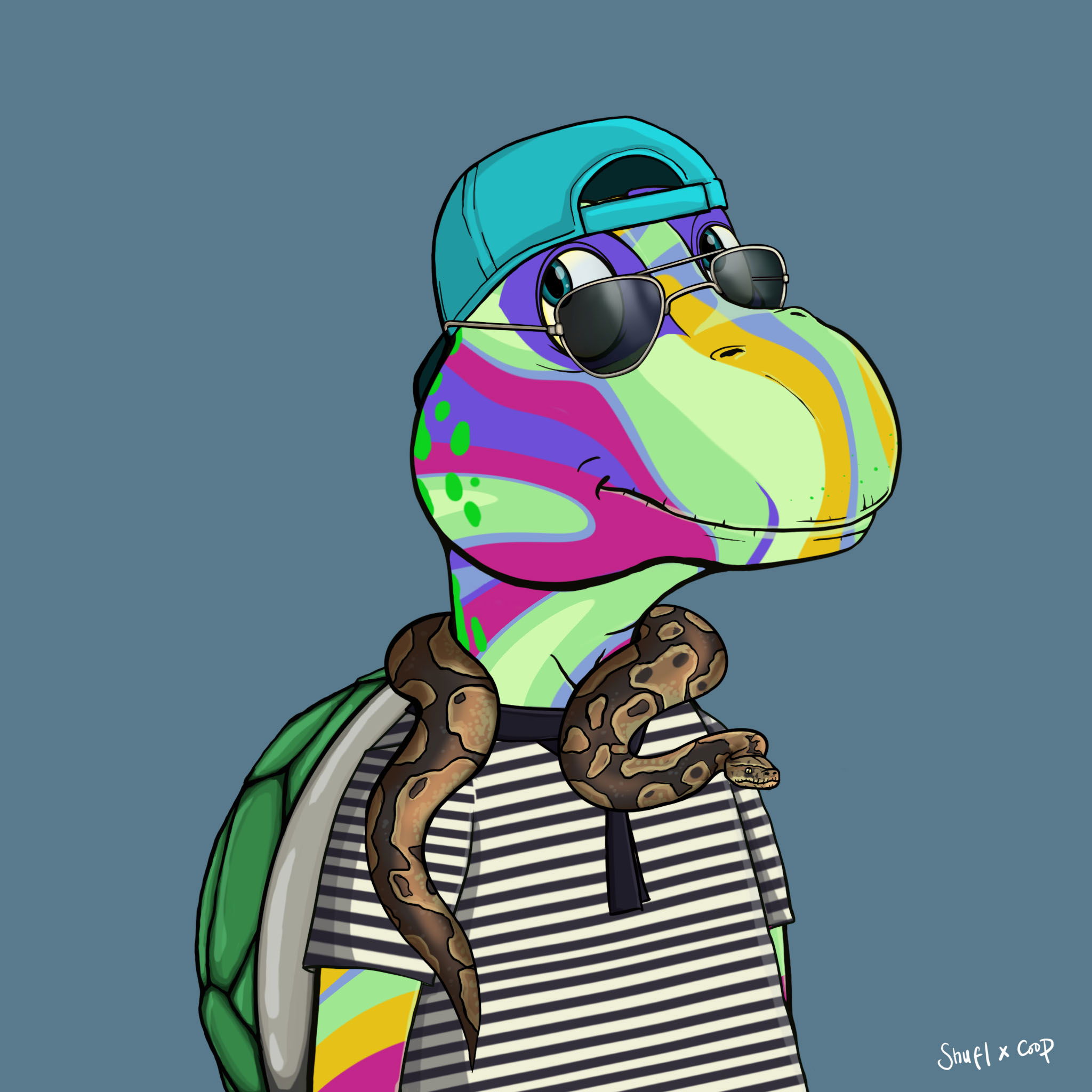 Coopa Troopa #2226 NFT on Algorand