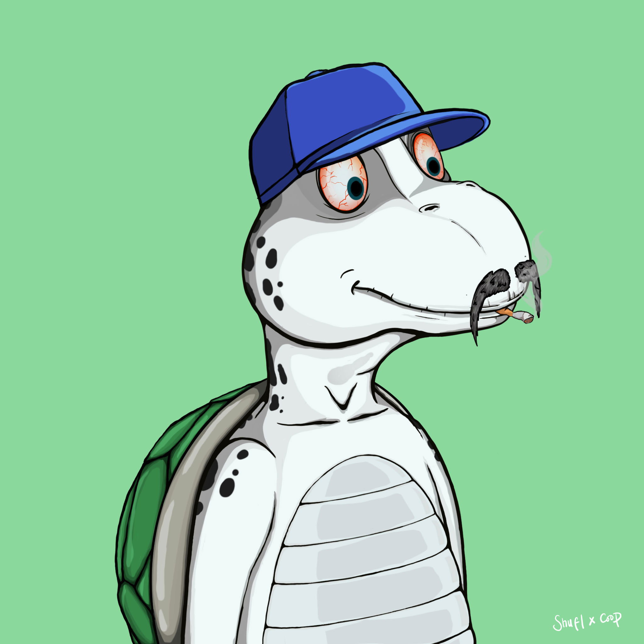 Coopa Troopa #2234 NFT on Algorand