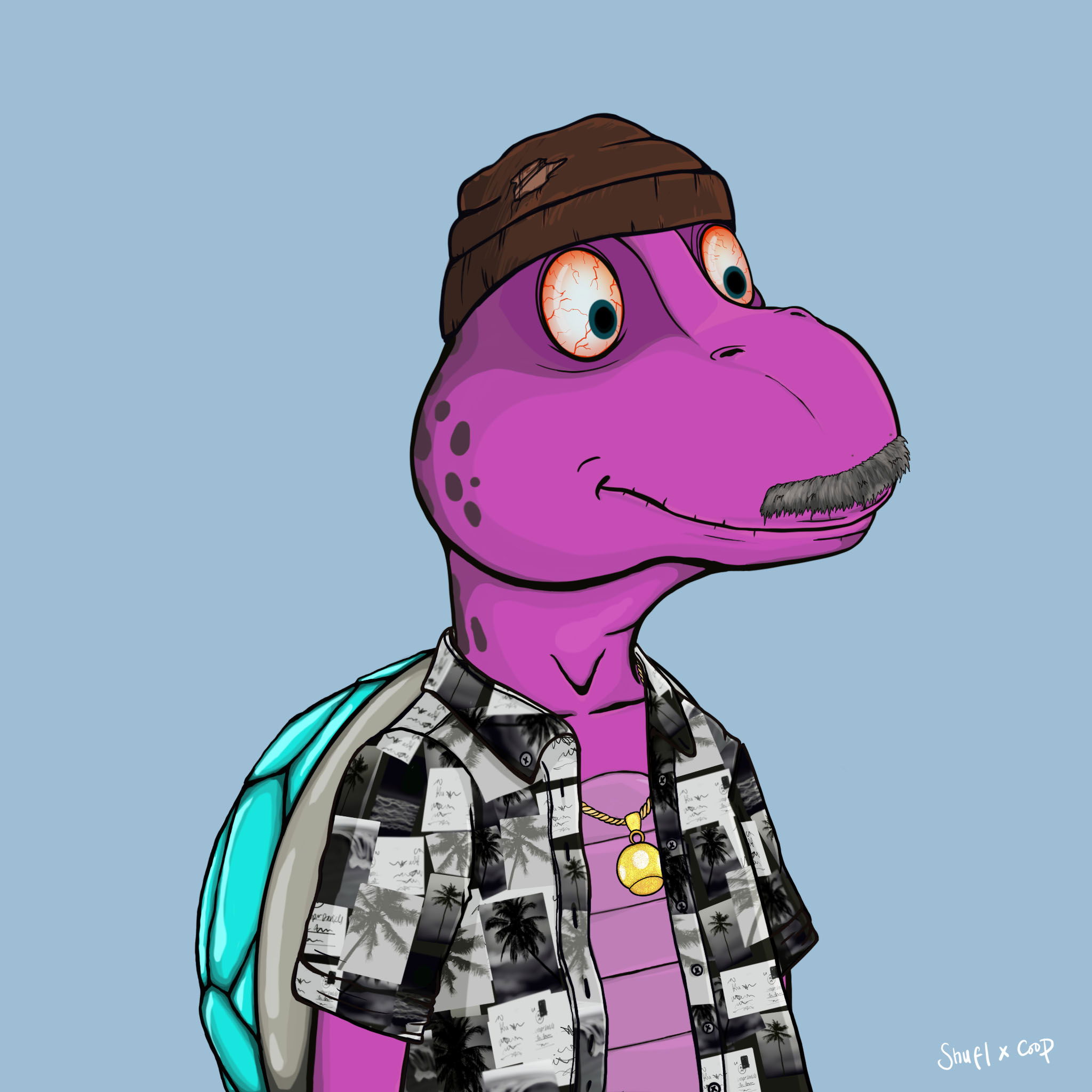 Coopa Troopa #2237 NFT on Algorand