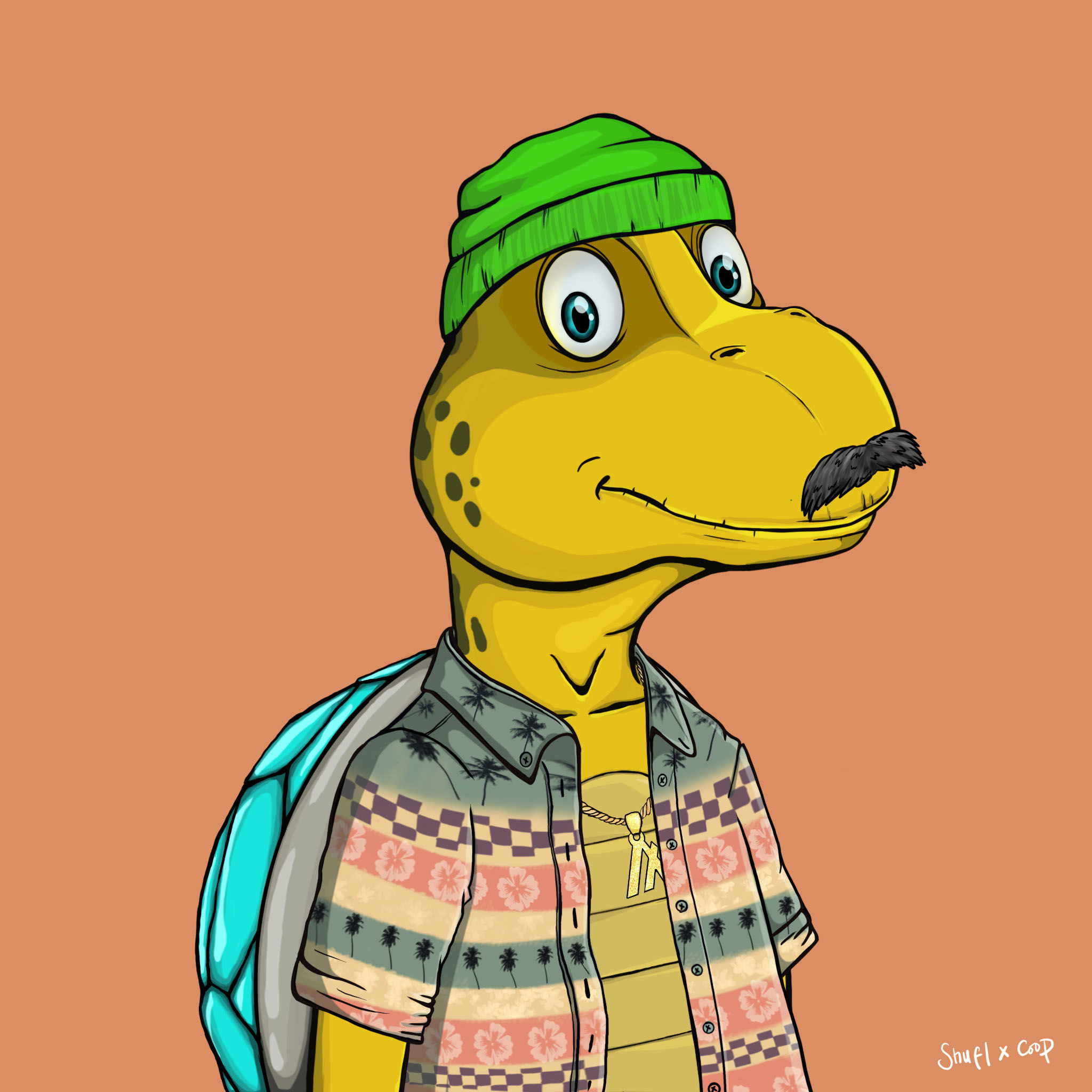 Coopa Troopa #2241 NFT on Algorand