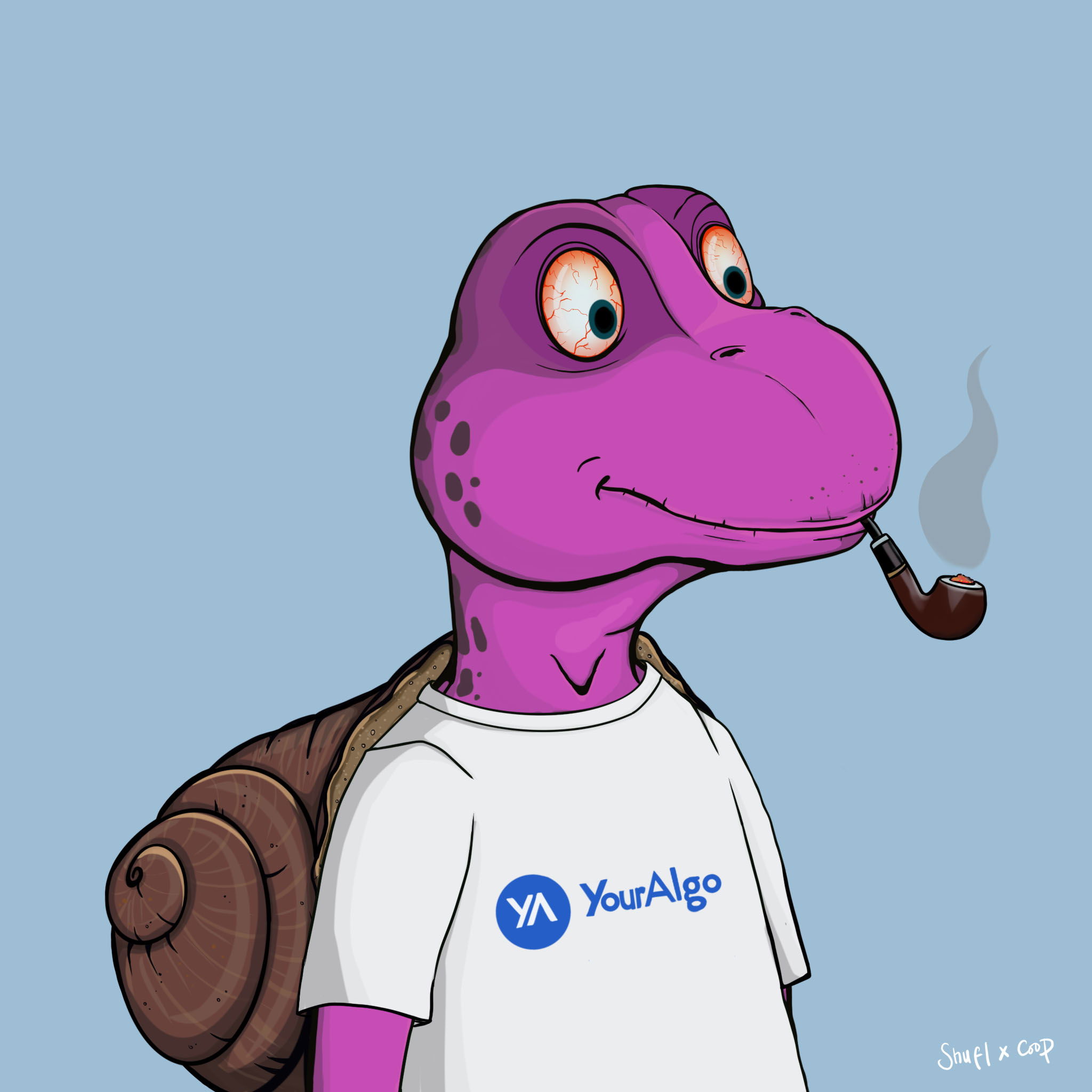 Coopa Troopa #2242 NFT on Algorand