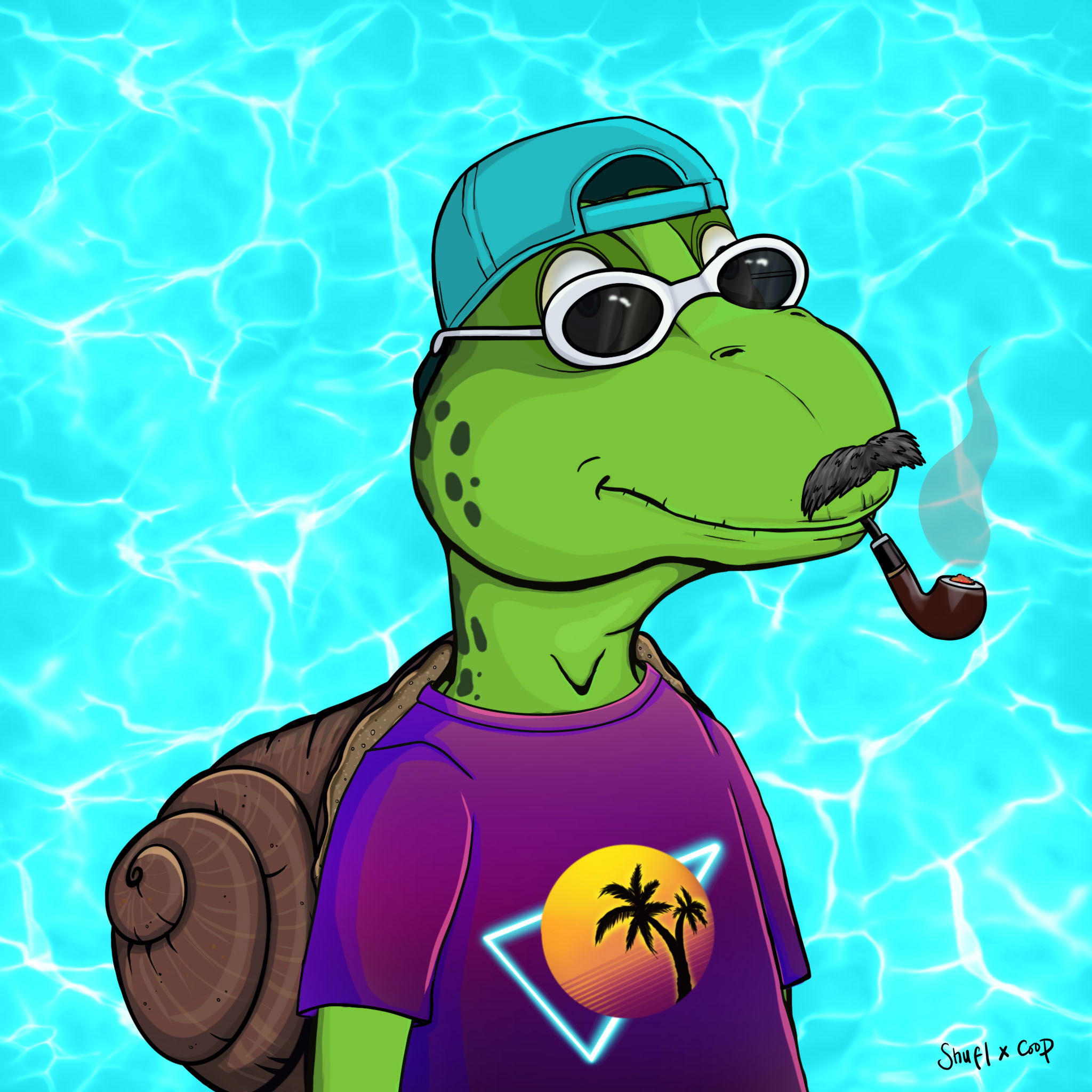 Coopa Troopa #2256 NFT on Algorand