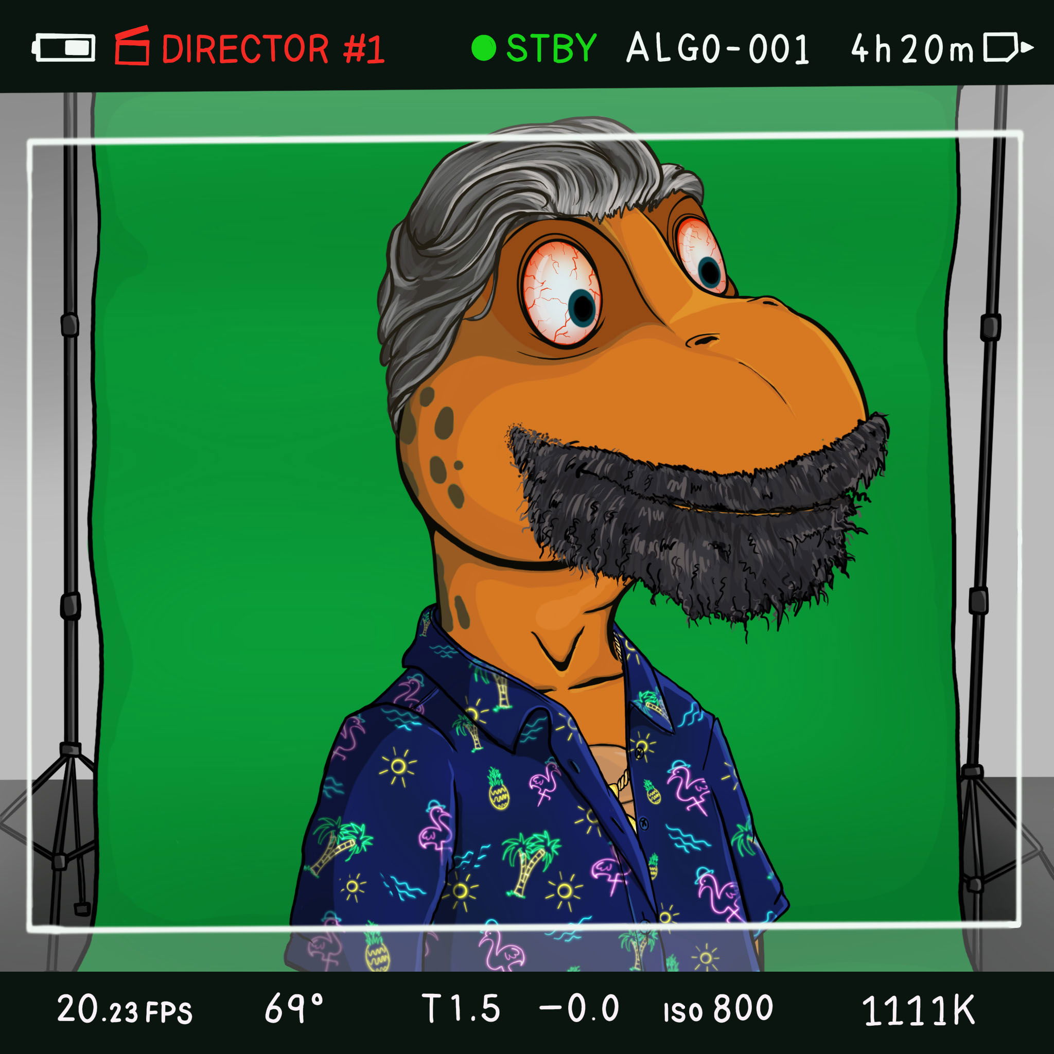 Coopa Troopa #227 NFT on Algorand