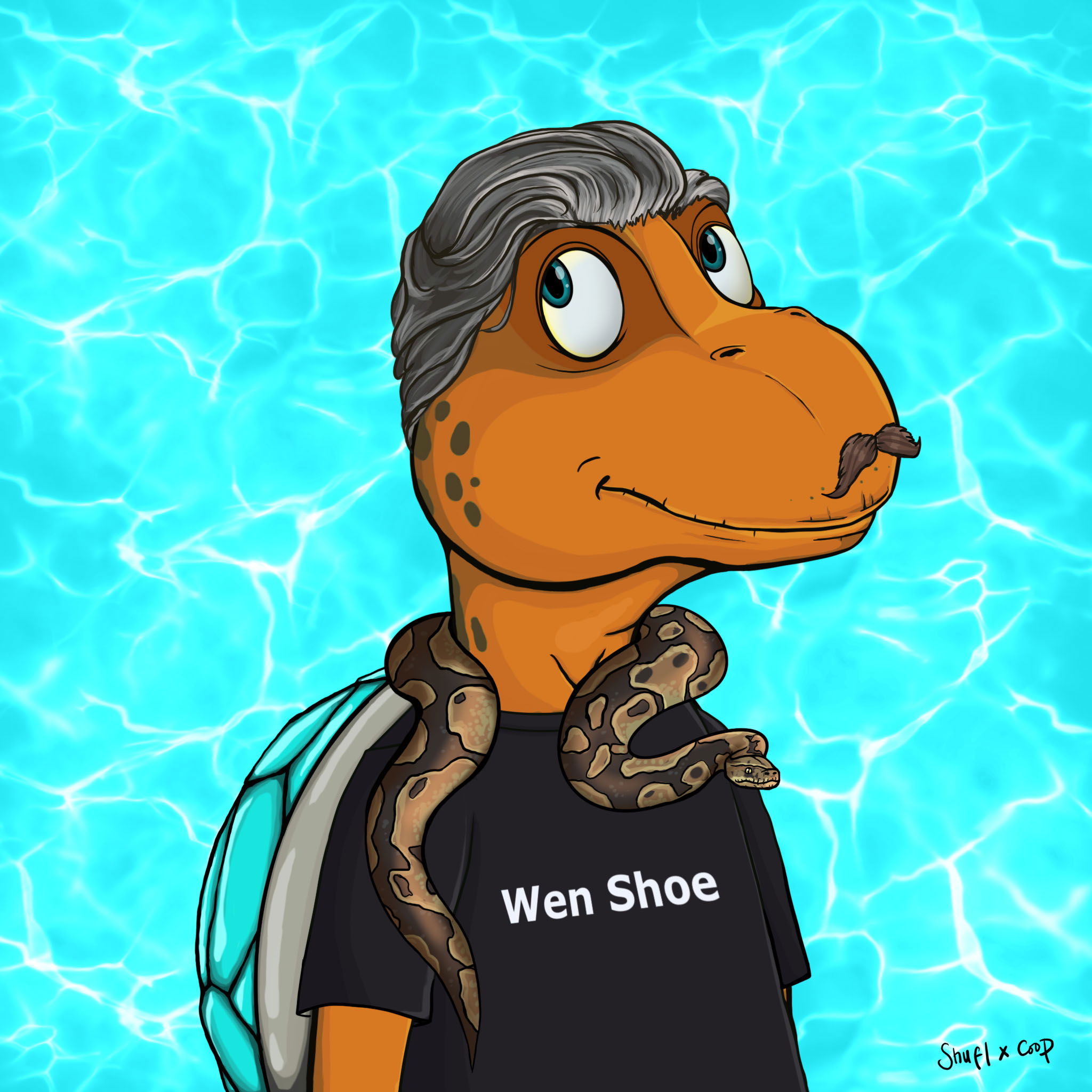 Coopa Troopa #2270 NFT on Algorand