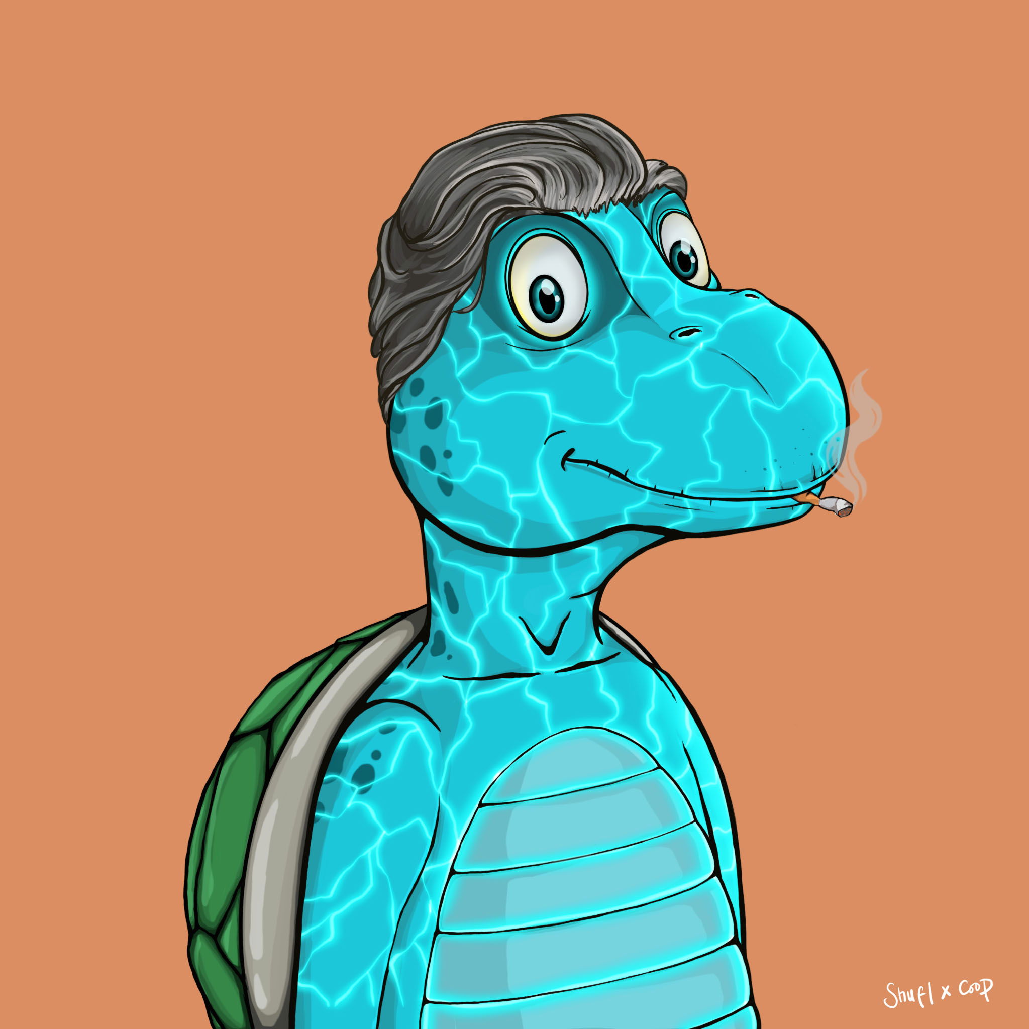 Coopa Troopa #2271 NFT on Algorand