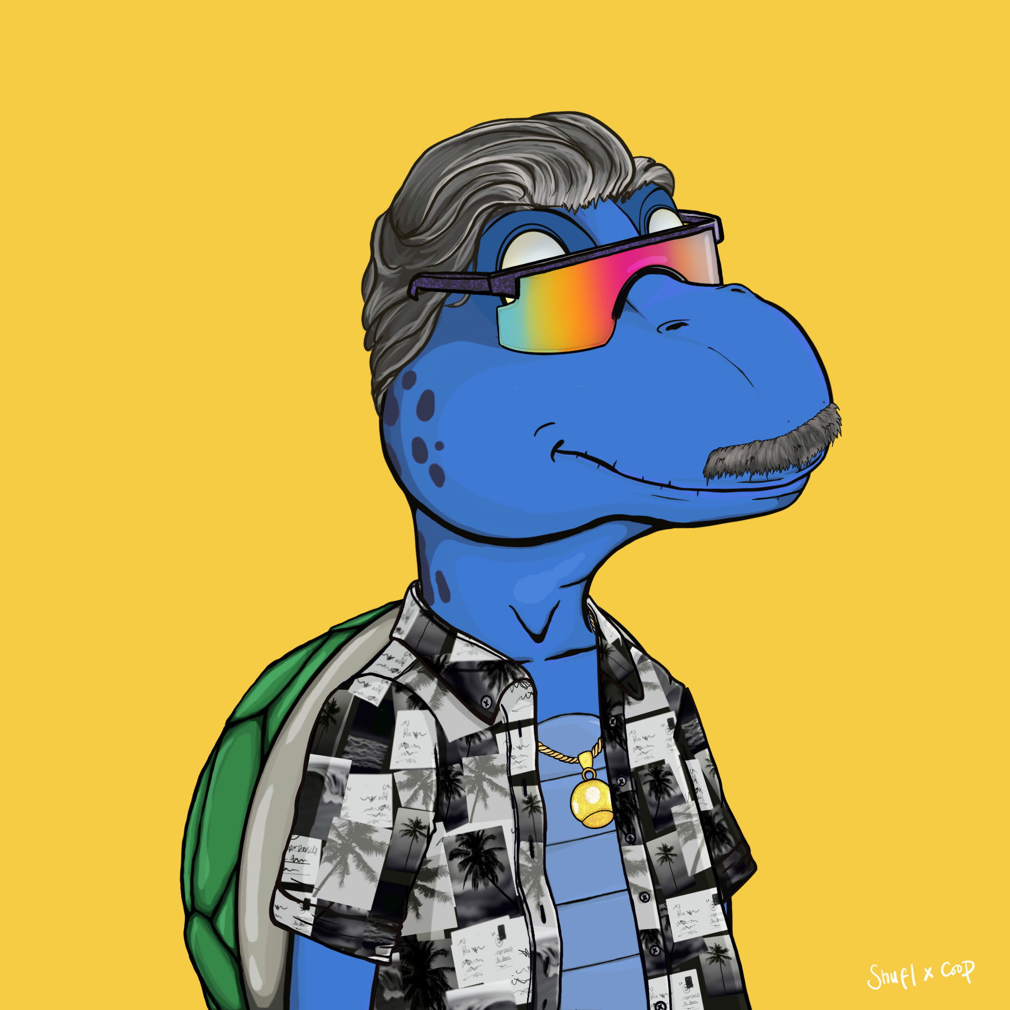 Coopa Troopa #2274 NFT on Algorand