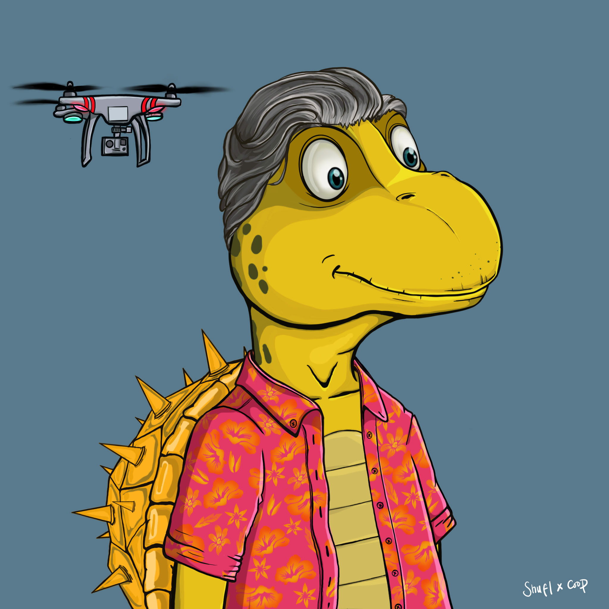 Coopa Troopa #2293 NFT on Algorand