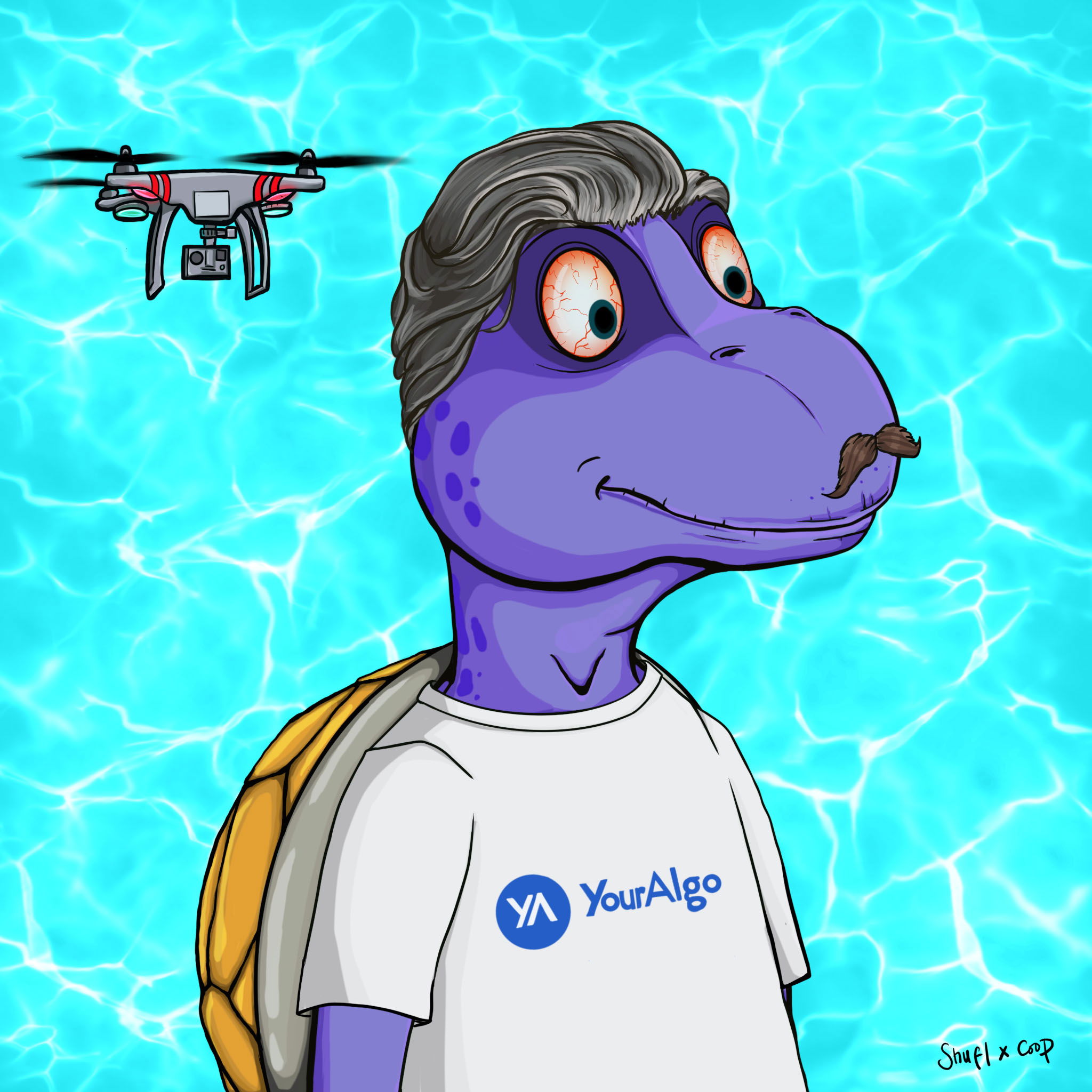 Coopa Troopa #2313 NFT on Algorand