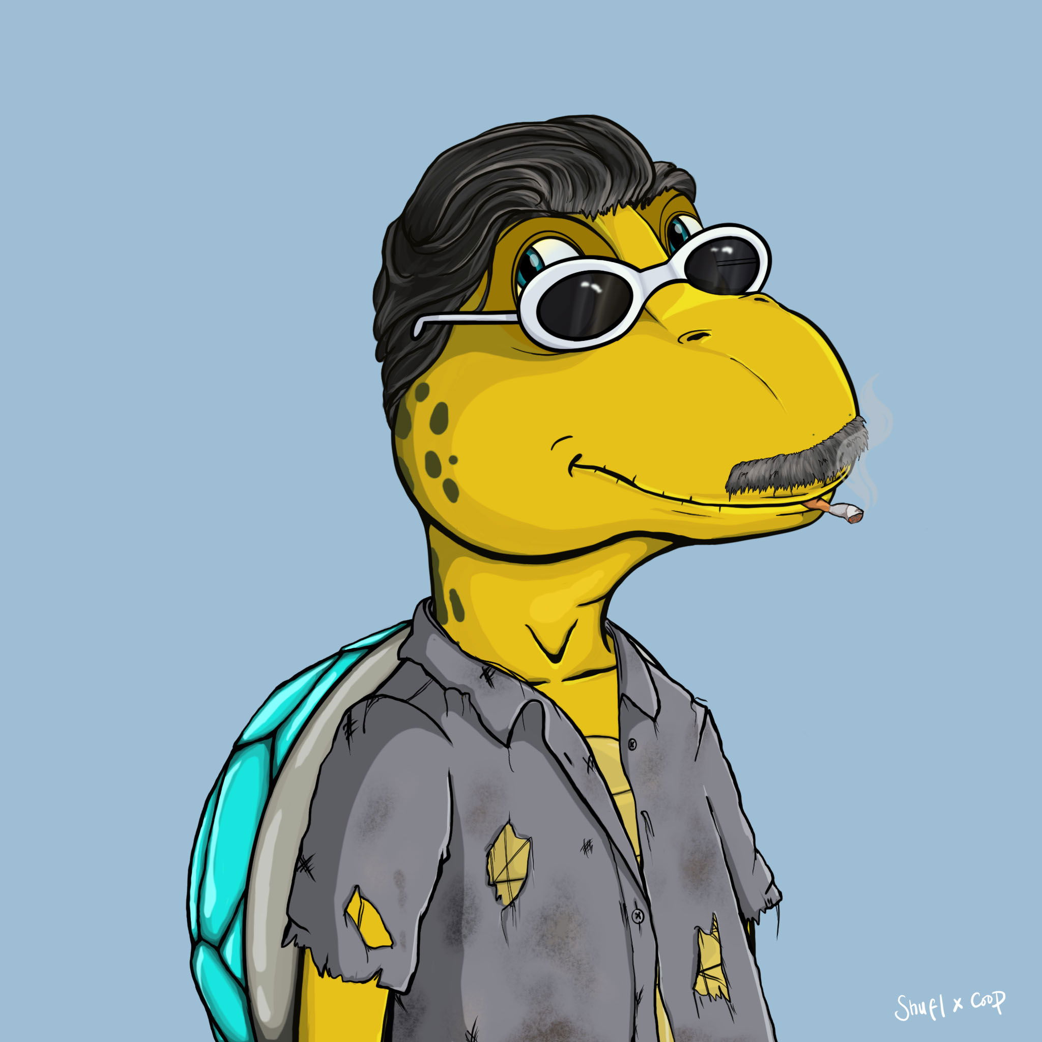 Coopa Troopa #2315 NFT on Algorand