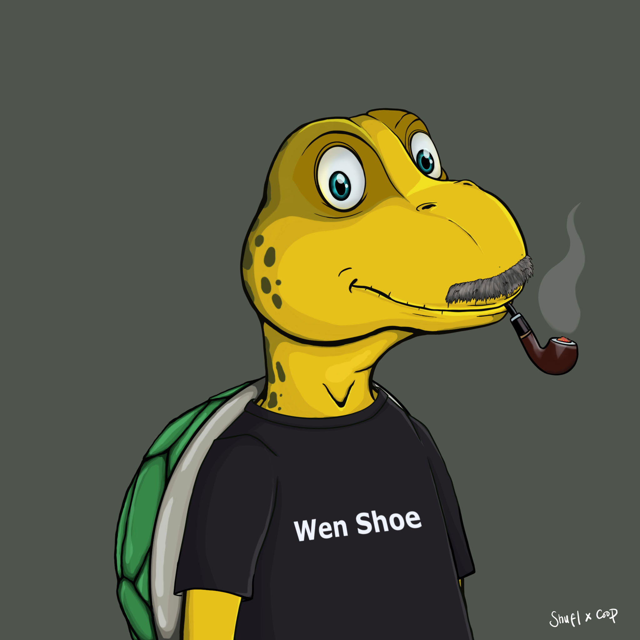 Coopa Troopa #2318 NFT on Algorand