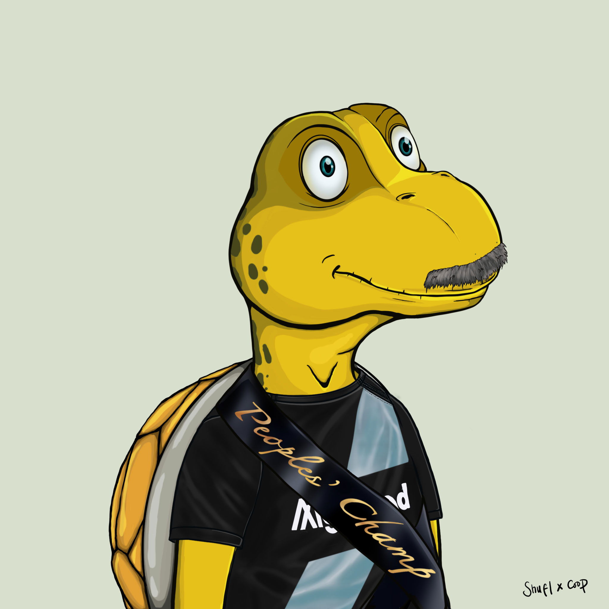 Coopa Troopa #232 NFT on Algorand