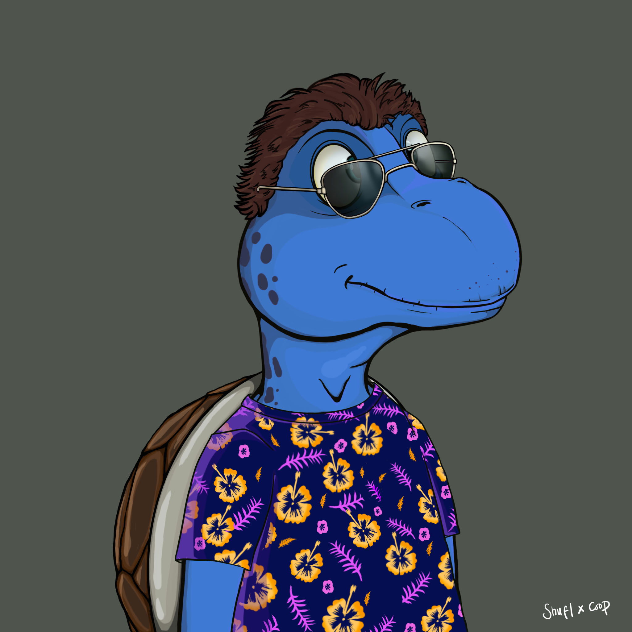 Coopa Troopa #2329 NFT on Algorand