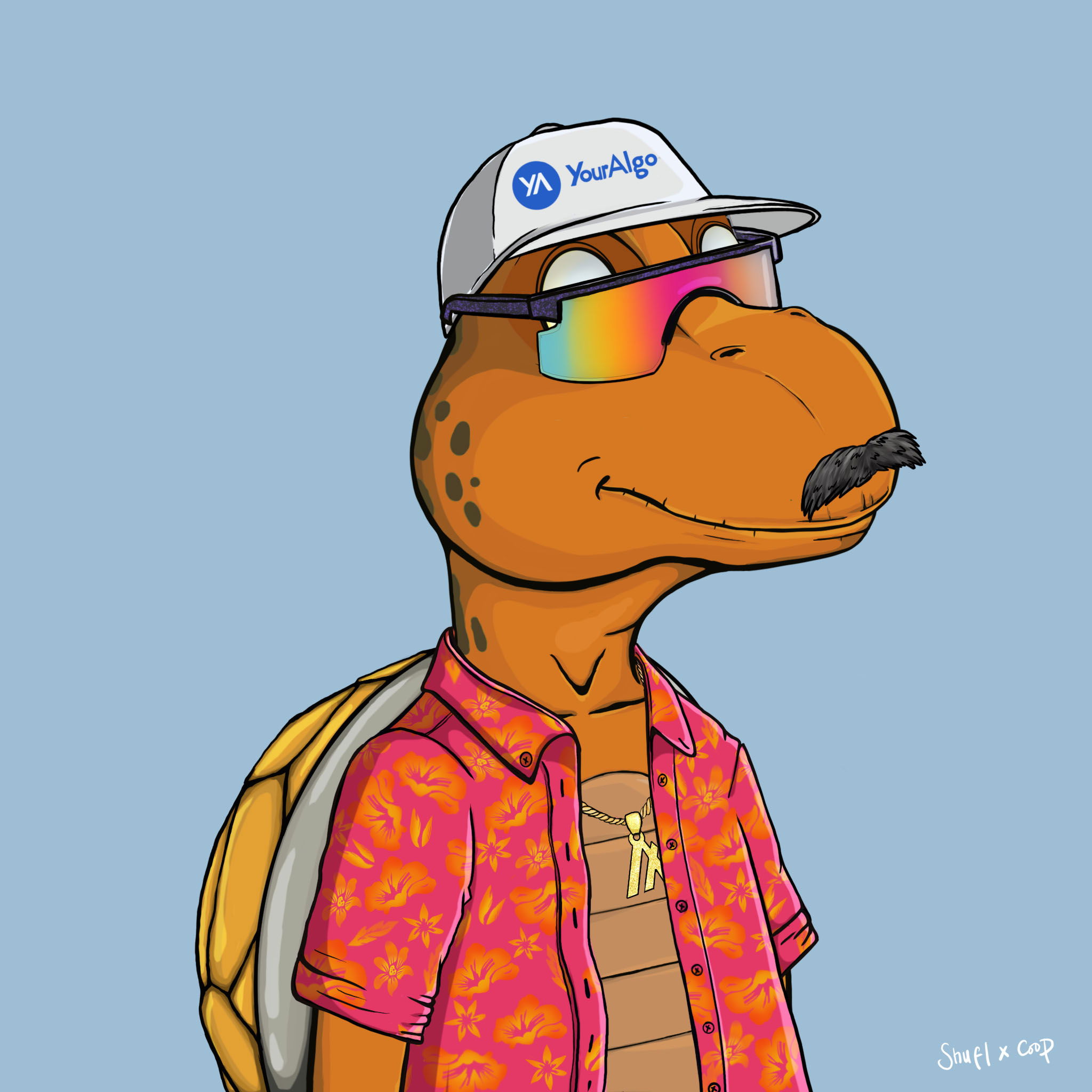 Coopa Troopa #2340 NFT on Algorand