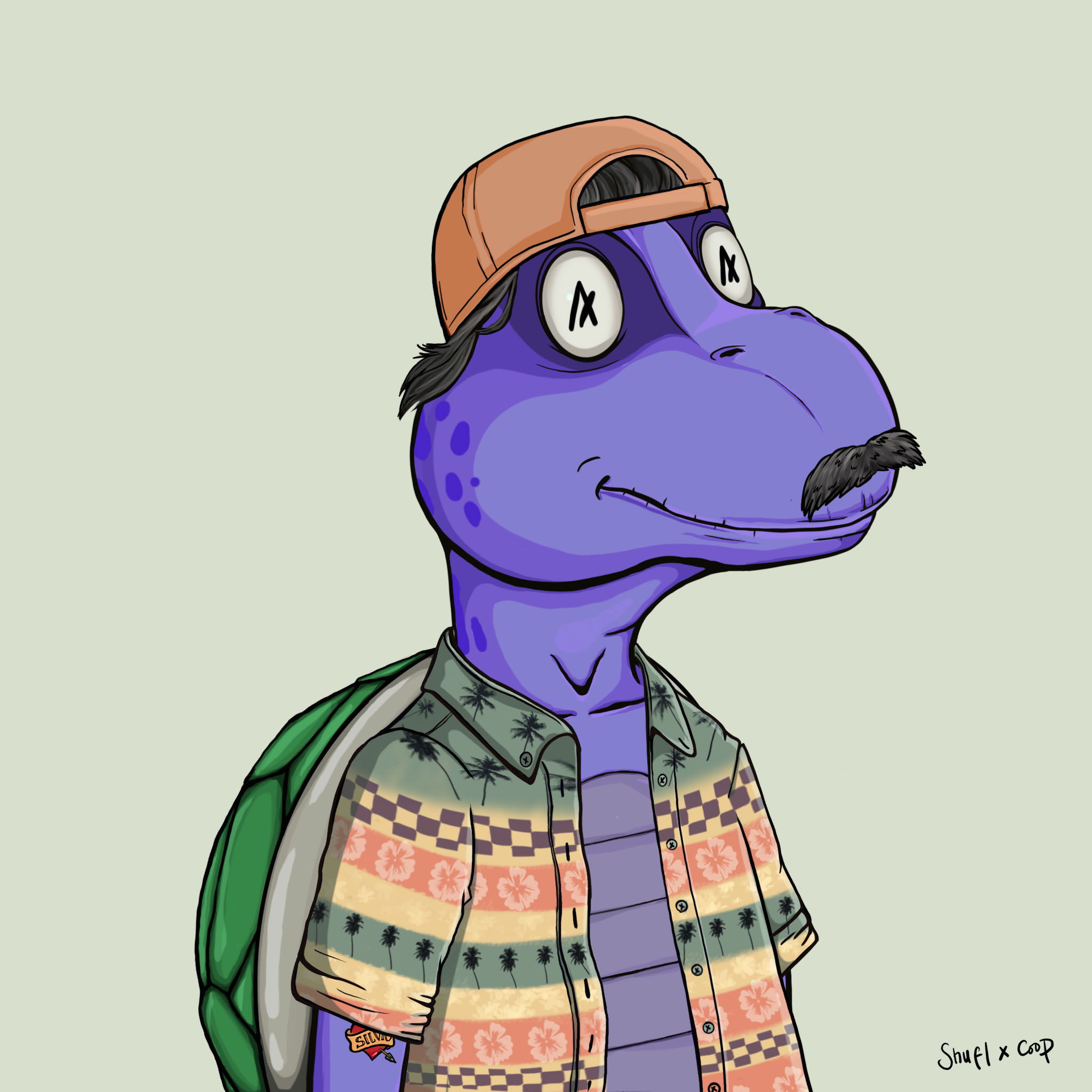 Coopa Troopa #2342 NFT on Algorand